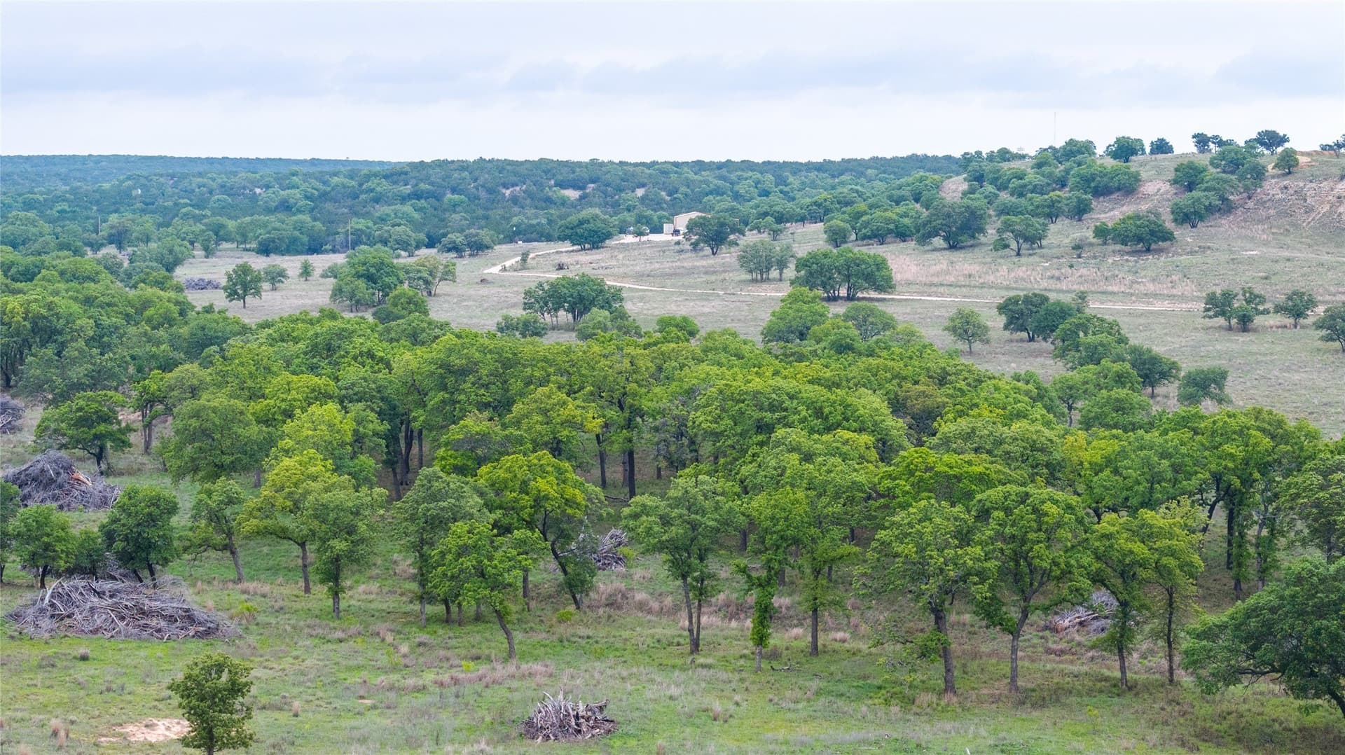 403 acres in Taylor County - photo 2