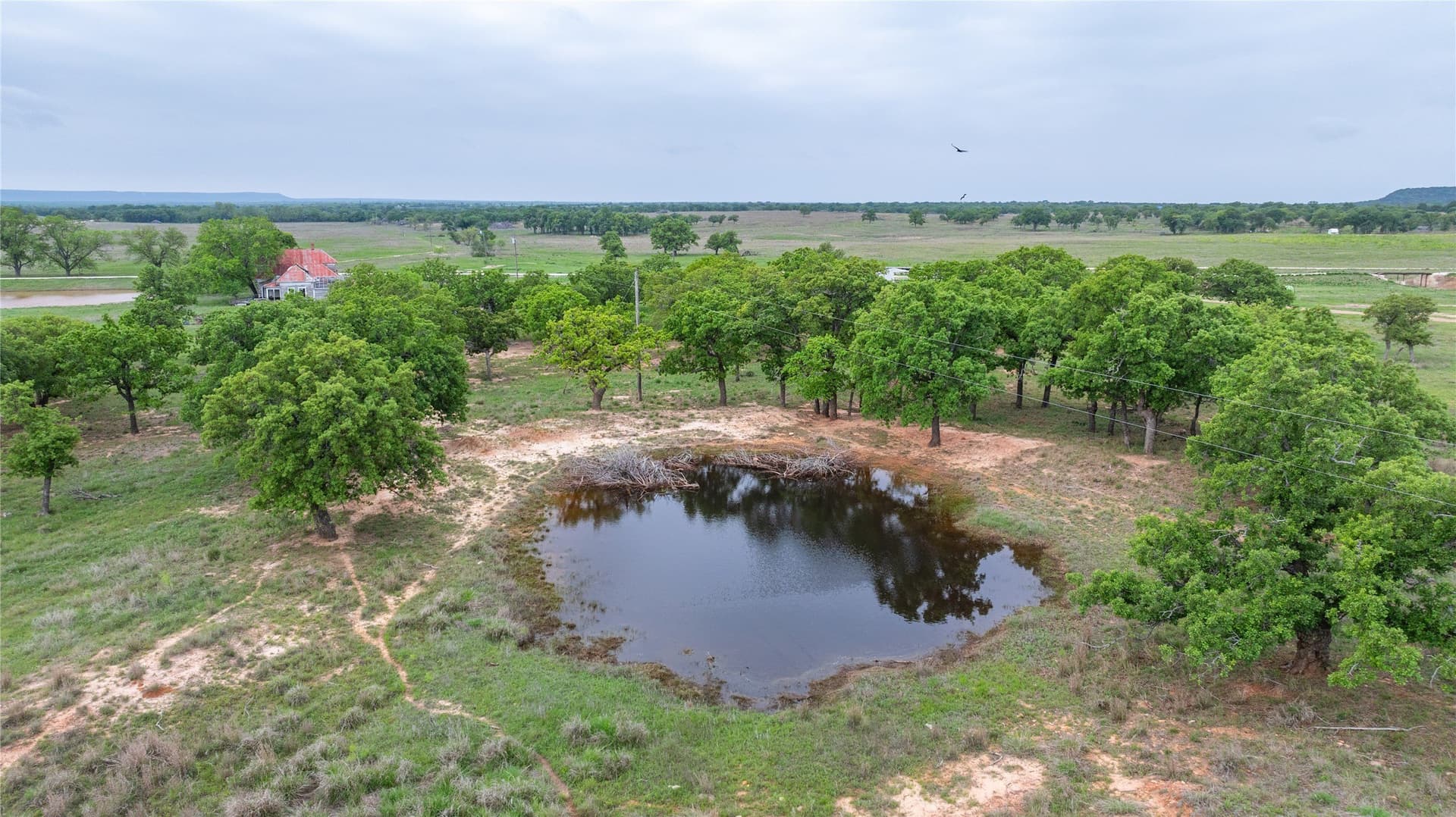 403 acres in Taylor County - photo 34