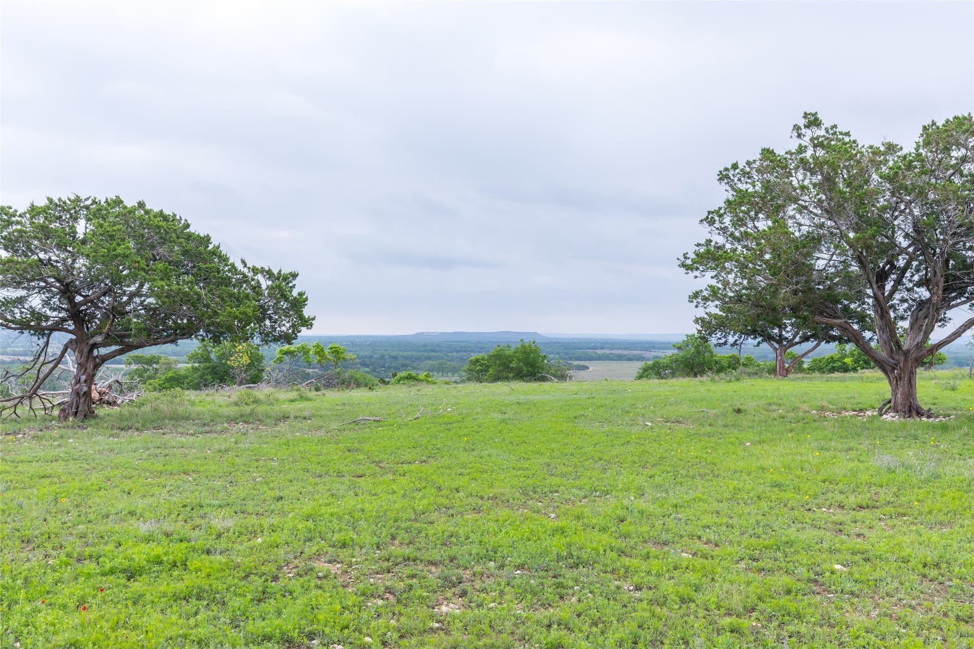 403 acres in Taylor County - photo 16