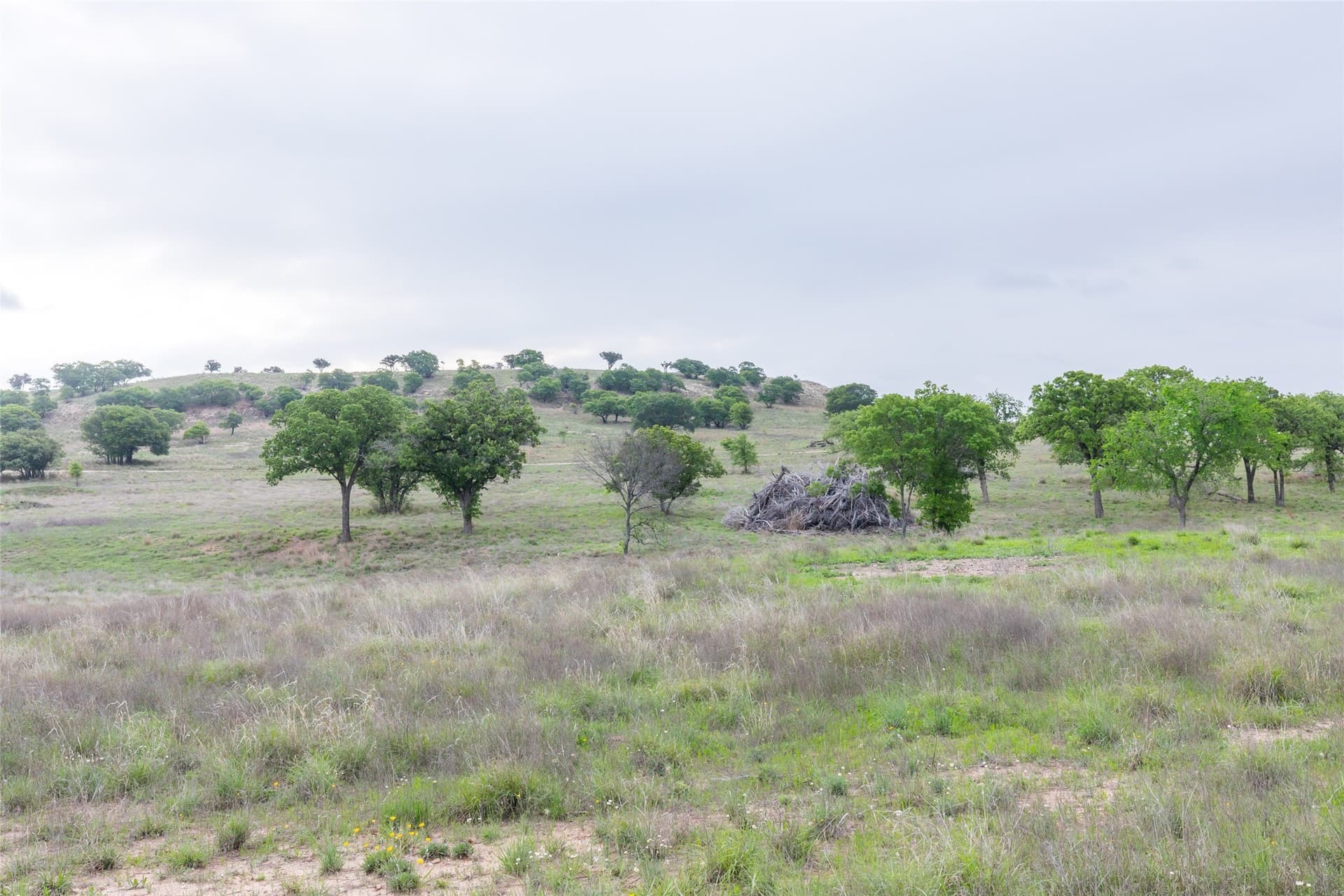 403 acres in Taylor County - photo 13