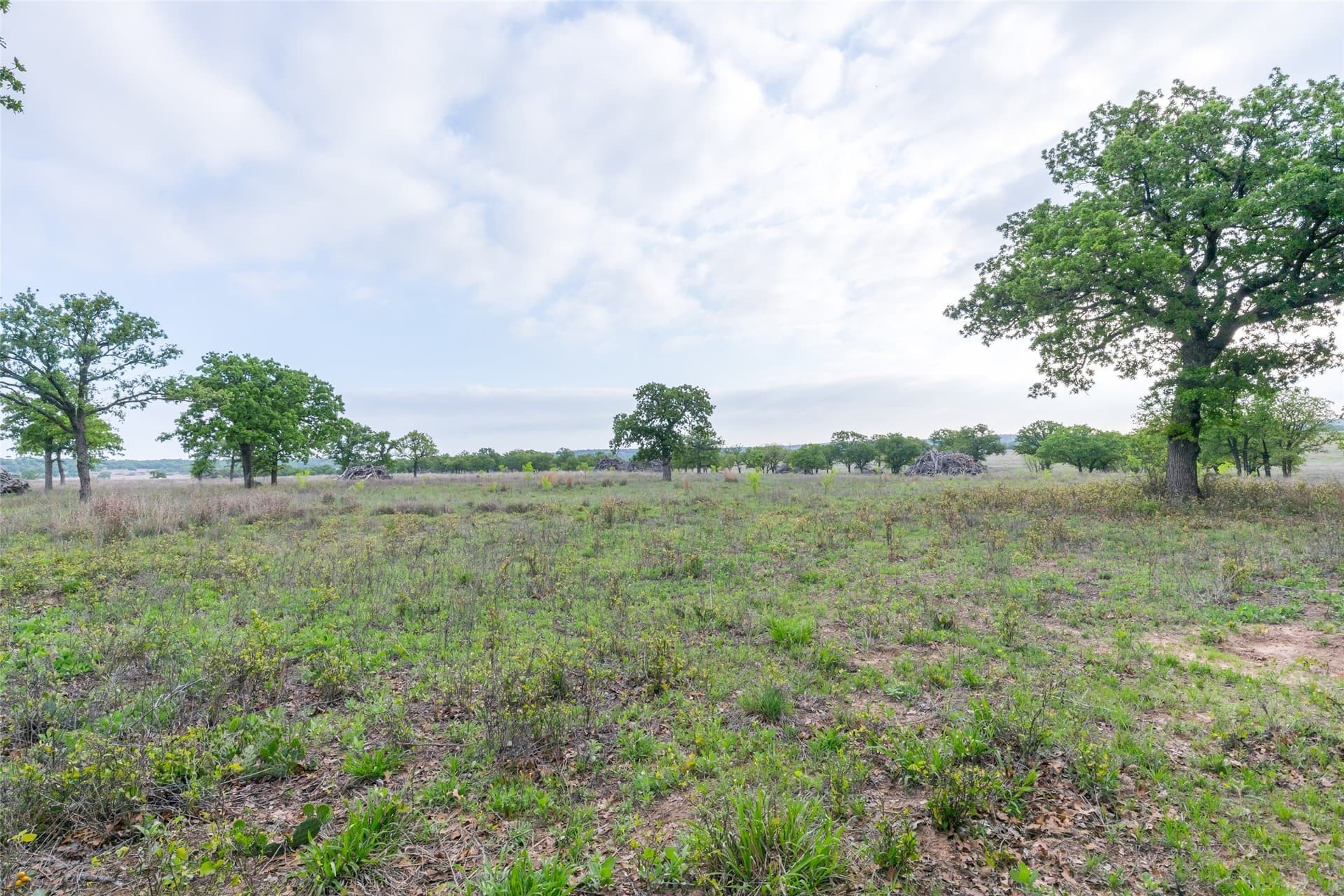 403 acres in Taylor County - photo 4