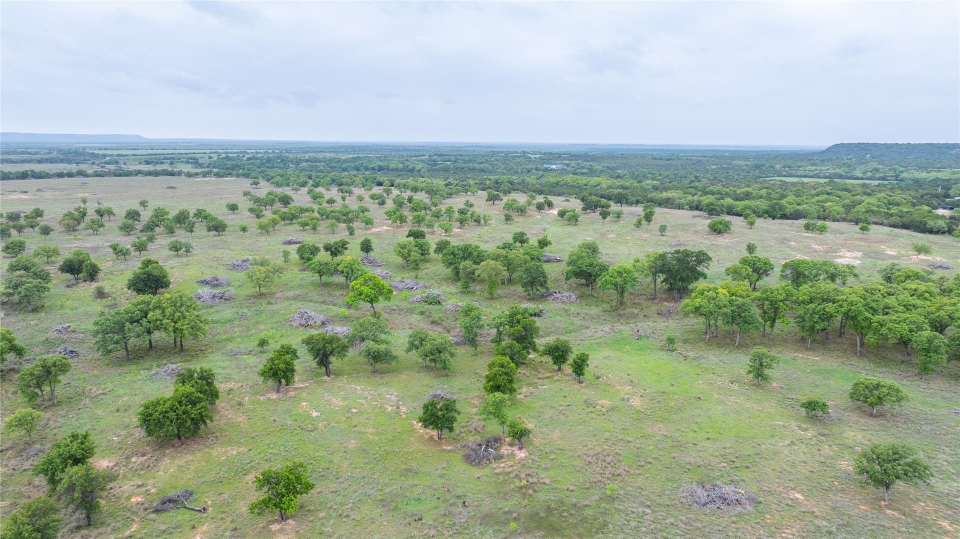 403 acres in Taylor County - photo 25