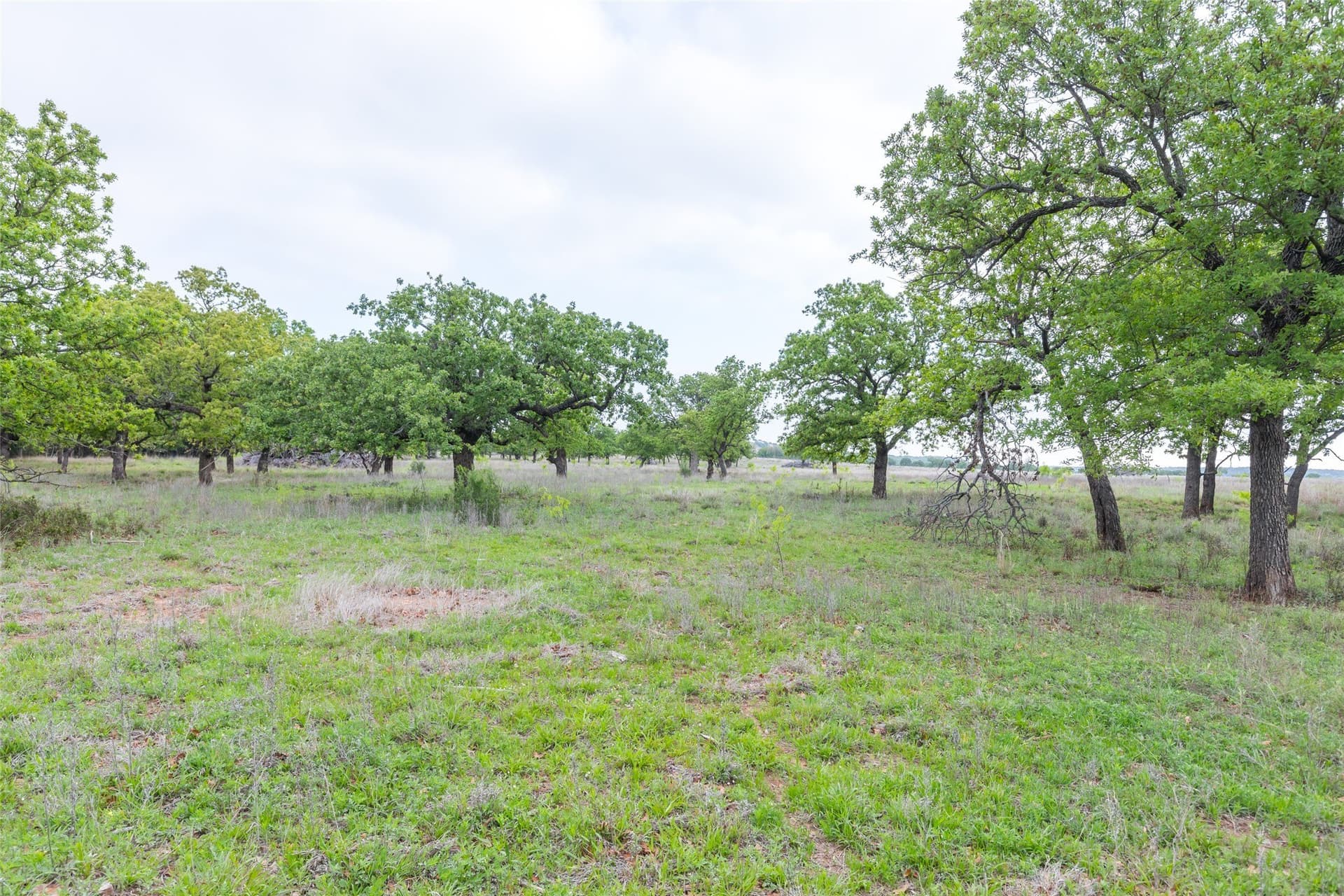 403 acres in Taylor County - photo 8