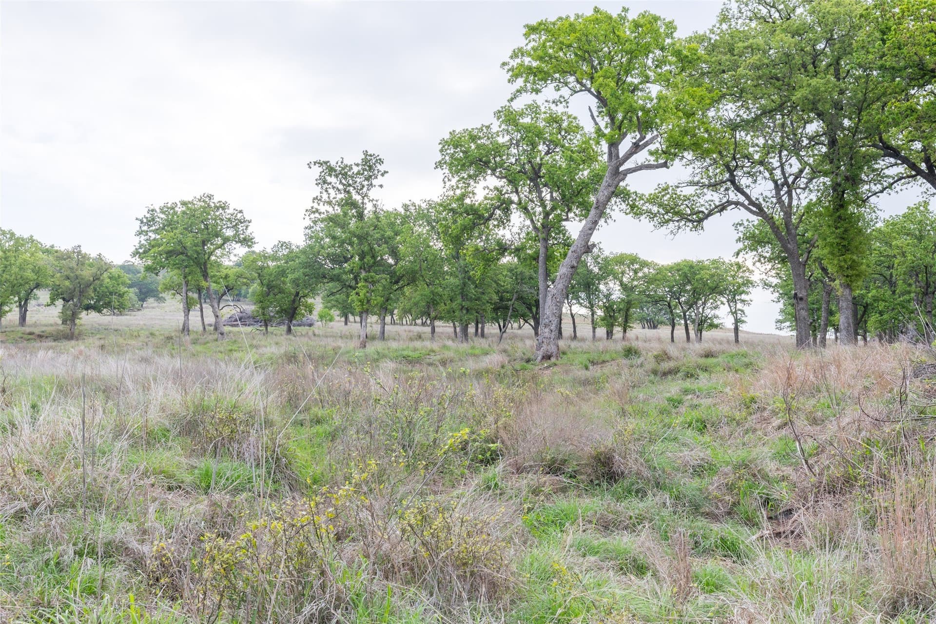 403 acres in Taylor County - photo 12