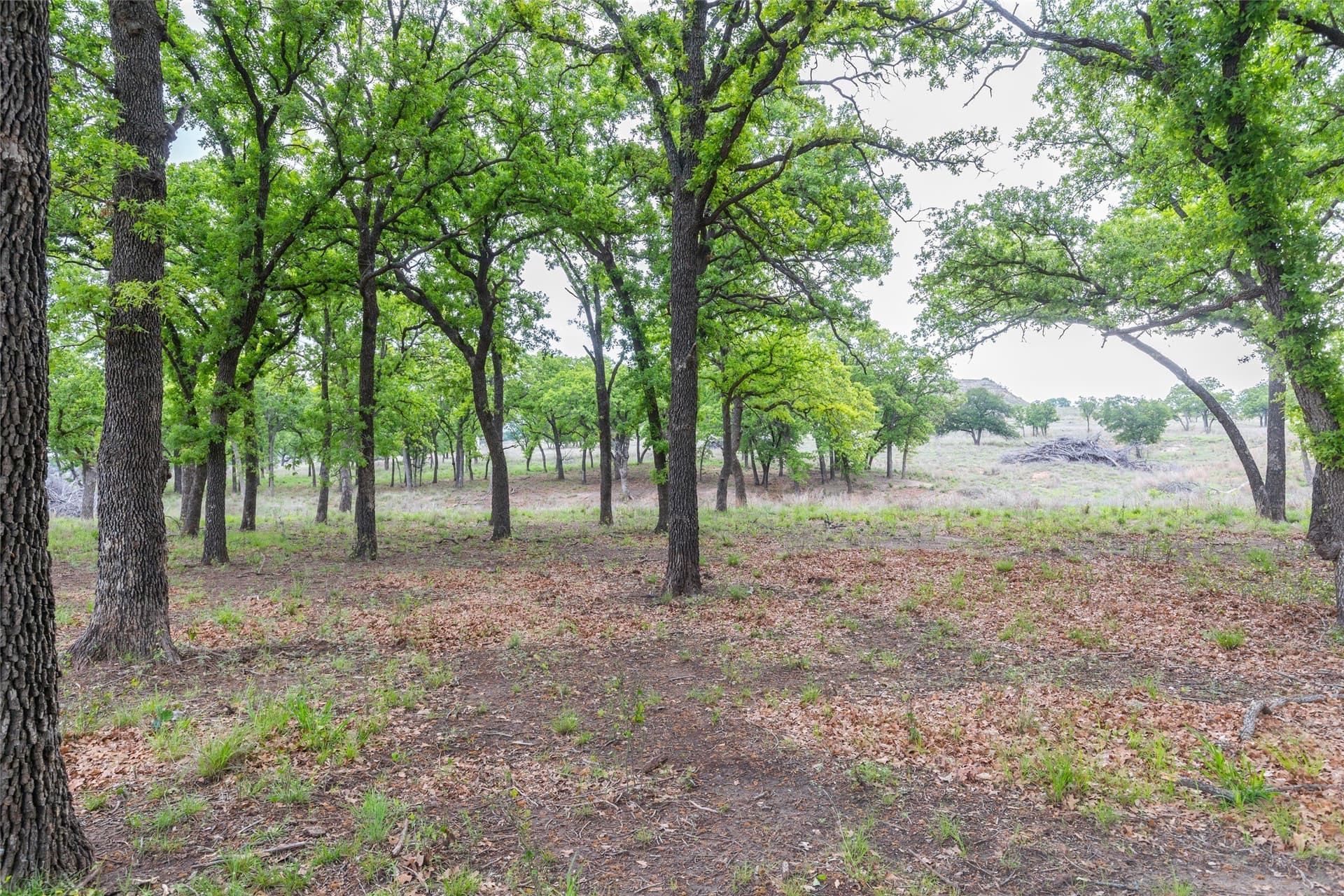 403 acres in Taylor County - photo 11