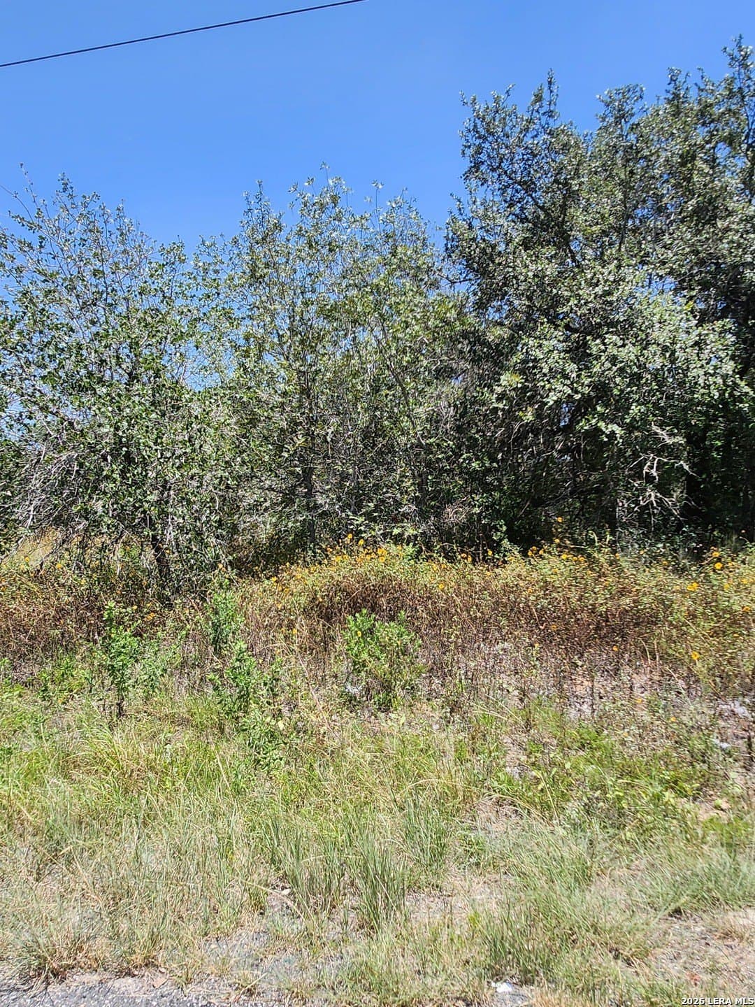 1.38 acres in Bexar County - photo 3