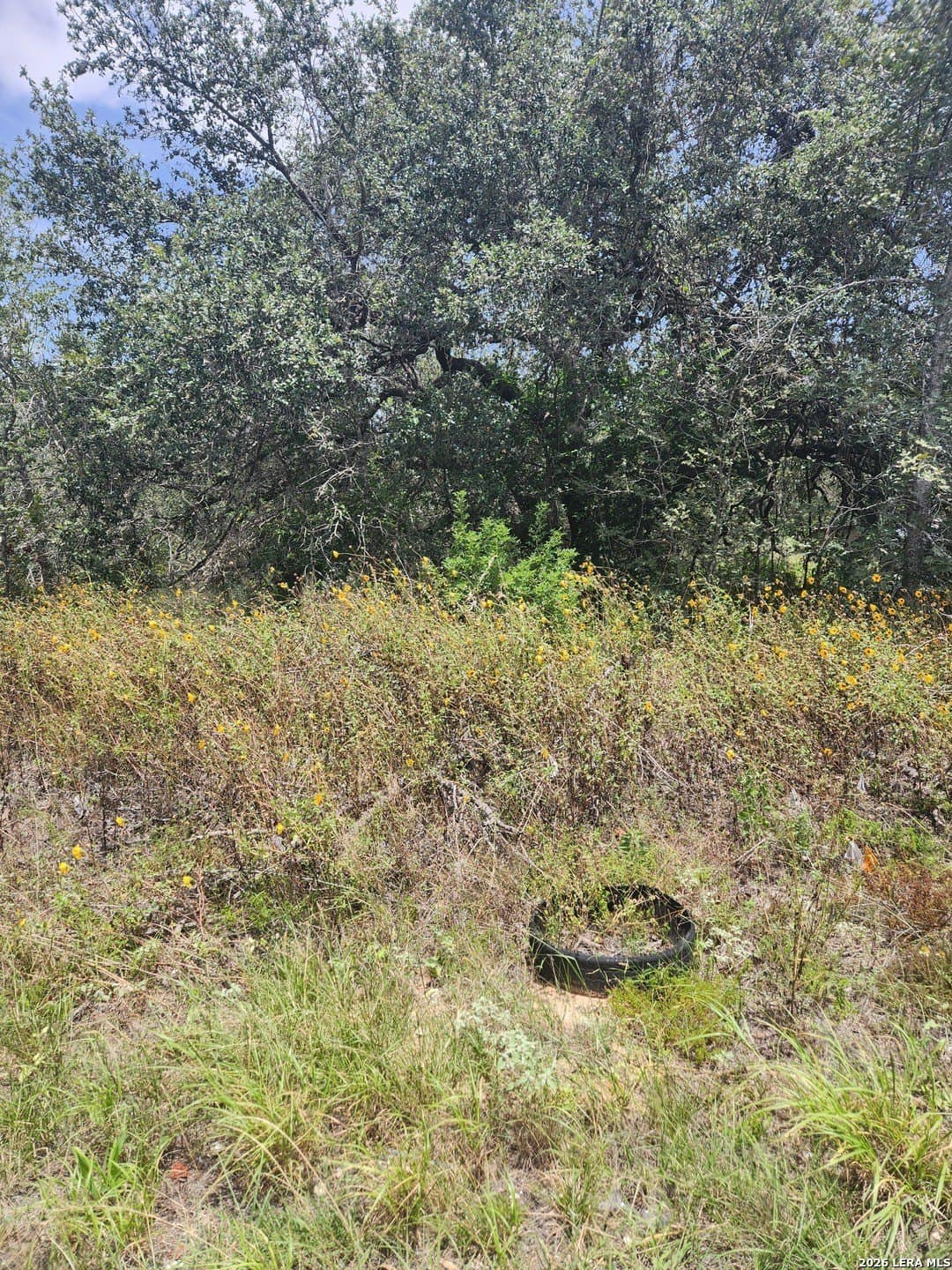 1.38 acres in Bexar County - photo 4