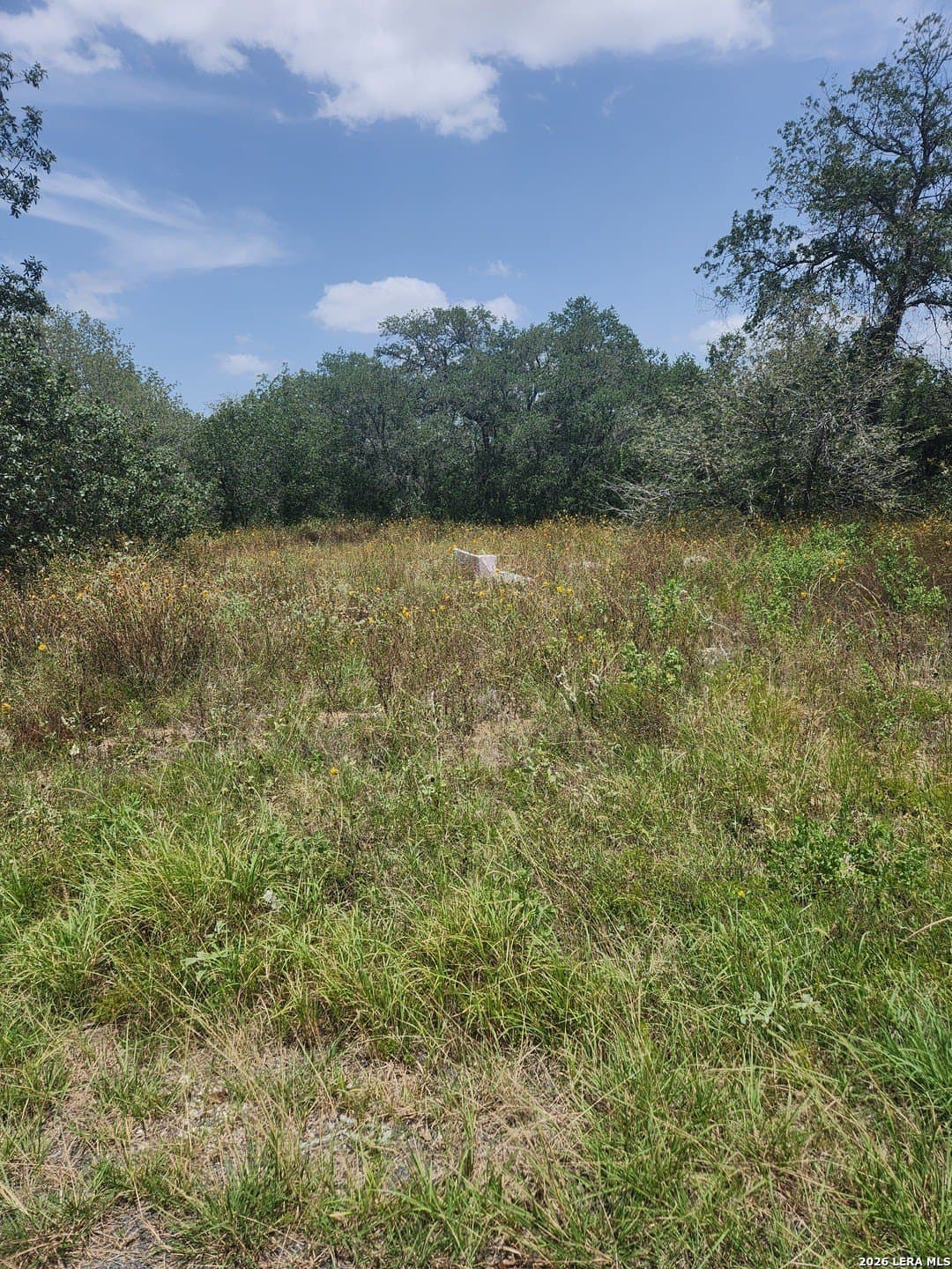 1.38 acres in Bexar County - photo 2