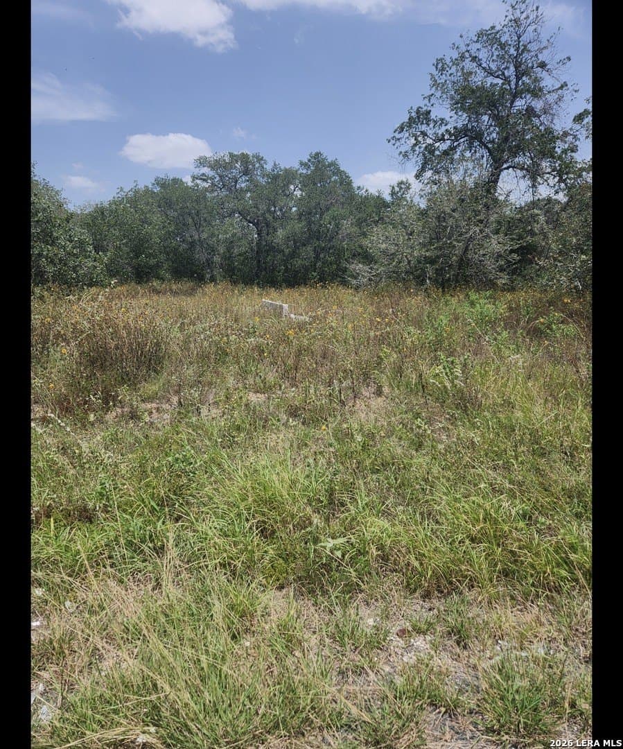1.38 acres in Bexar County - photo 5