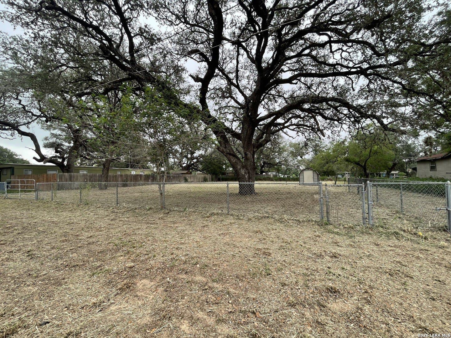 0.33 acres in Atascosa County gallery image 3