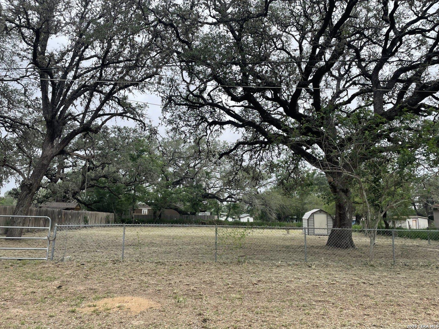 0.33 acres in Atascosa County gallery image 2