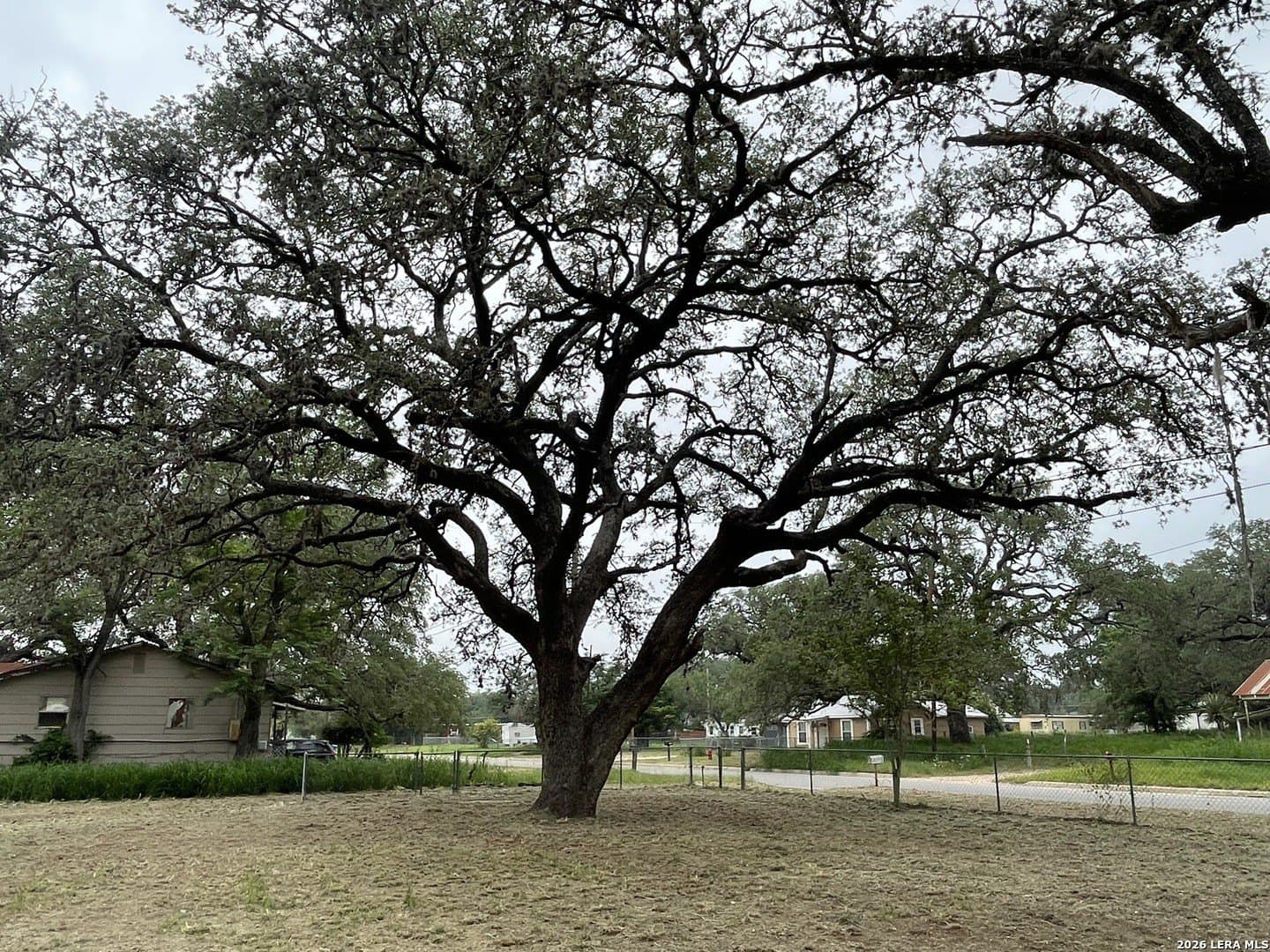 0.33 acres in Atascosa County - photo 8