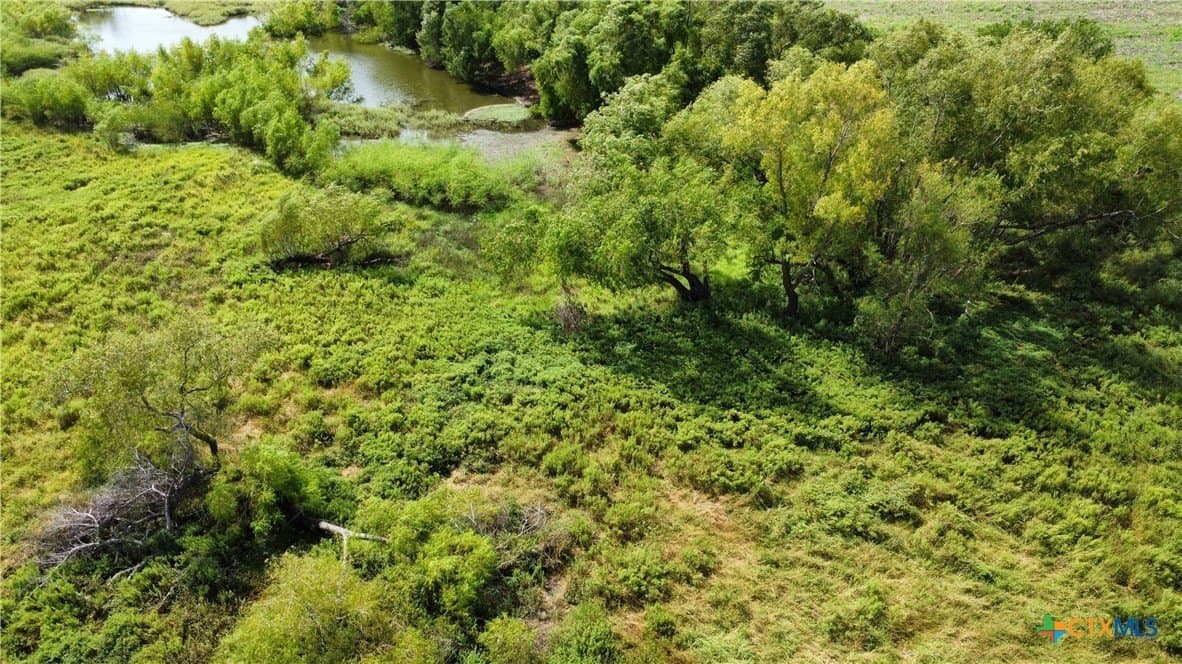 22.56 acres in Victoria County - photo 6