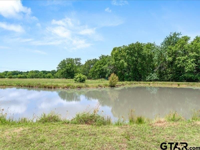 21.58 acres in Van Zandt County - photo 43