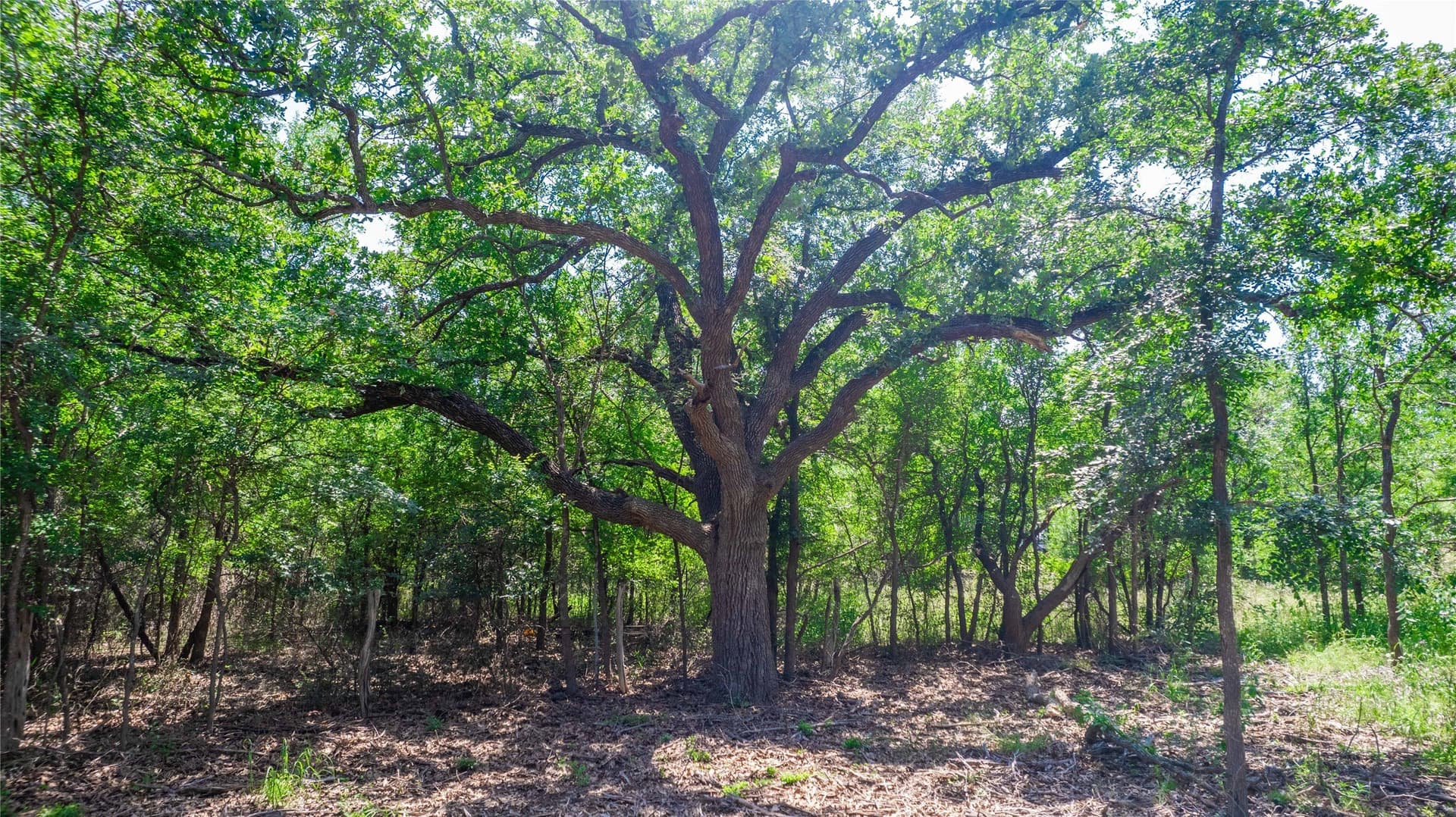 3.04 acres in Brown County - photo 13
