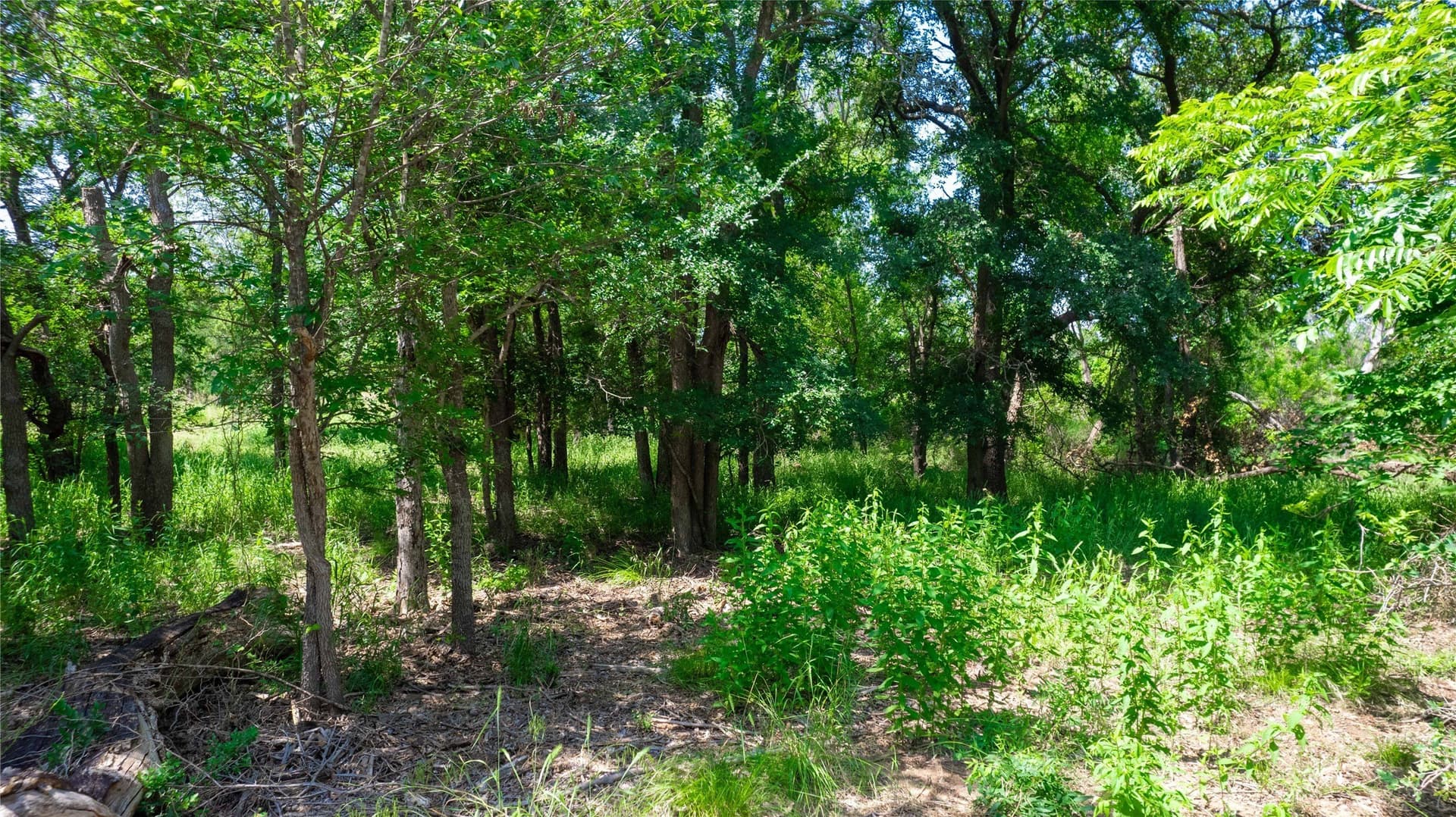 3.04 acres in Brown County - photo 12