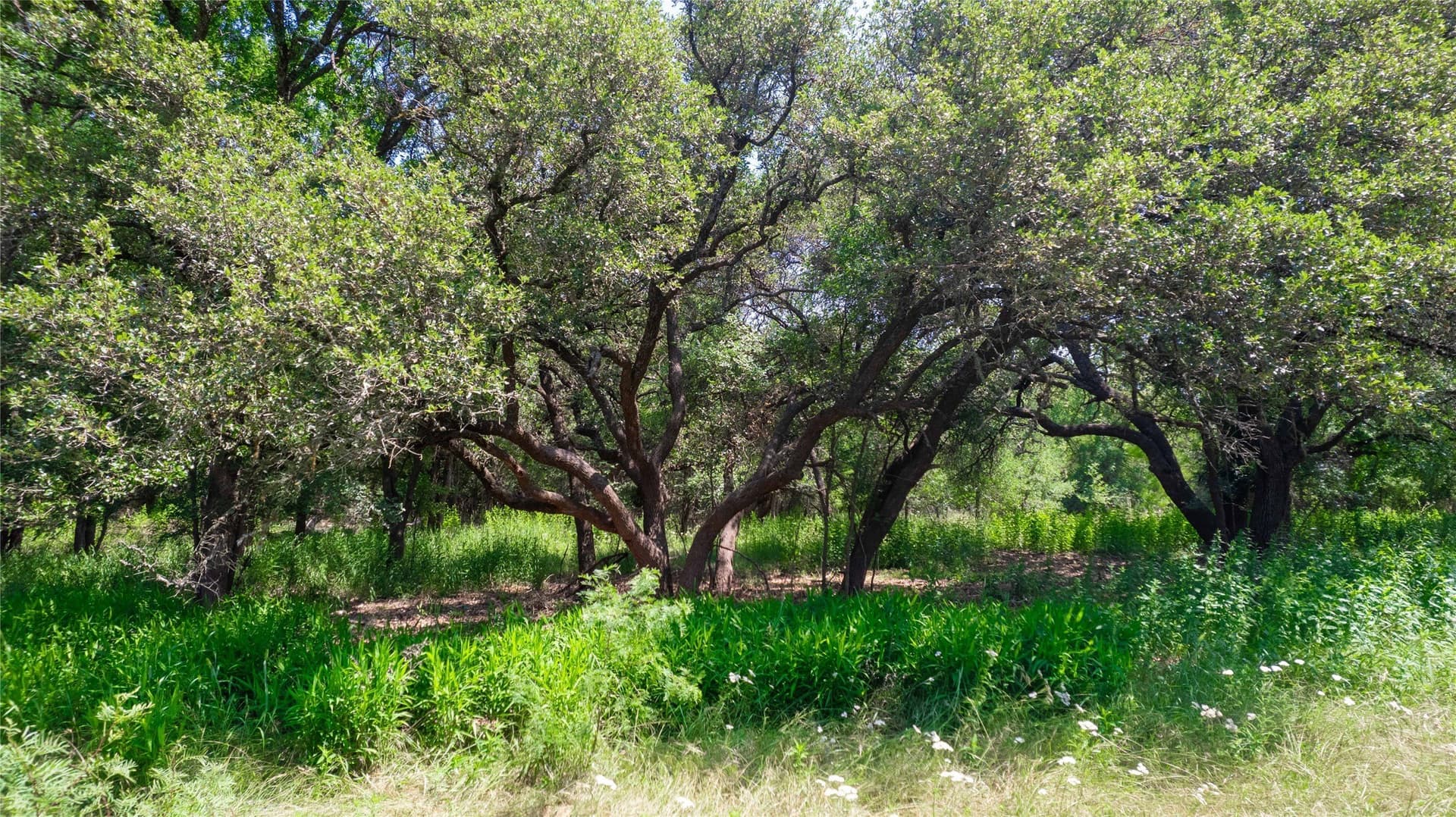3.04 acres in Brown County - photo 18