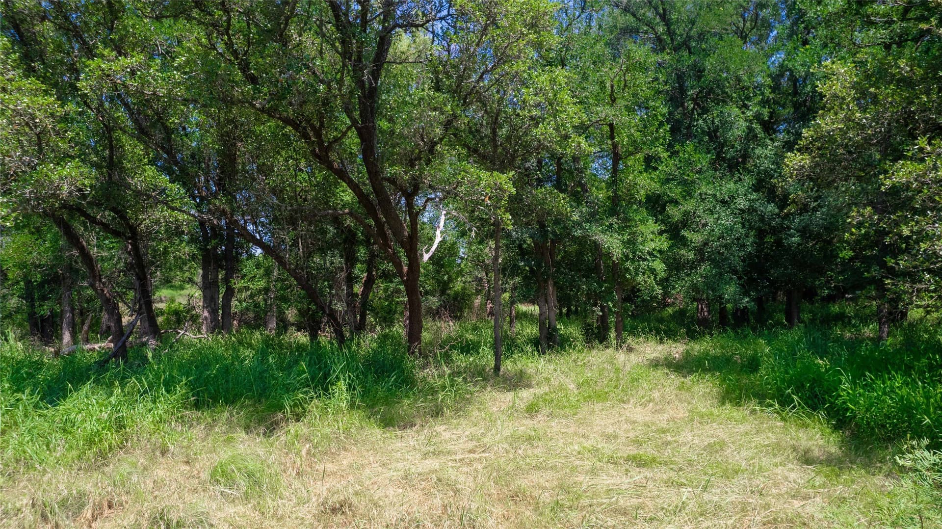 3.04 acres in Brown County - photo 19