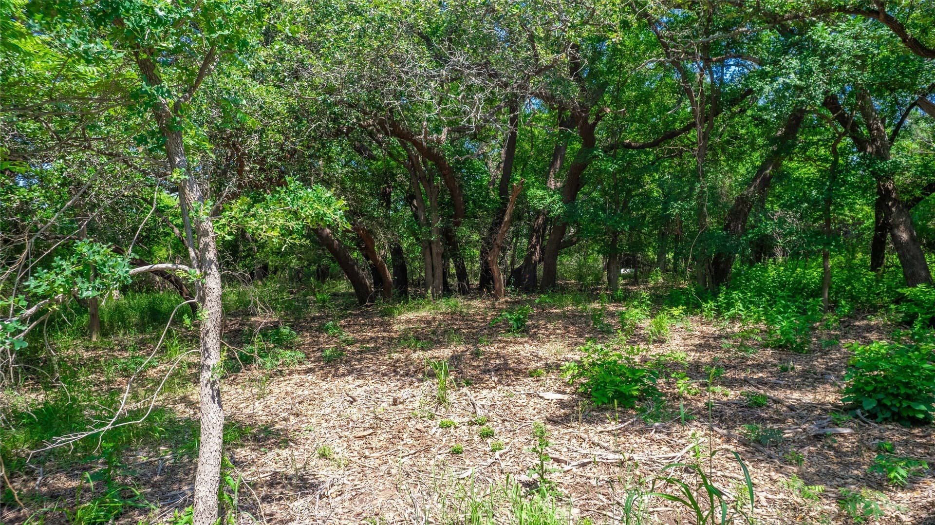 3.04 acres in Brown County - photo 22