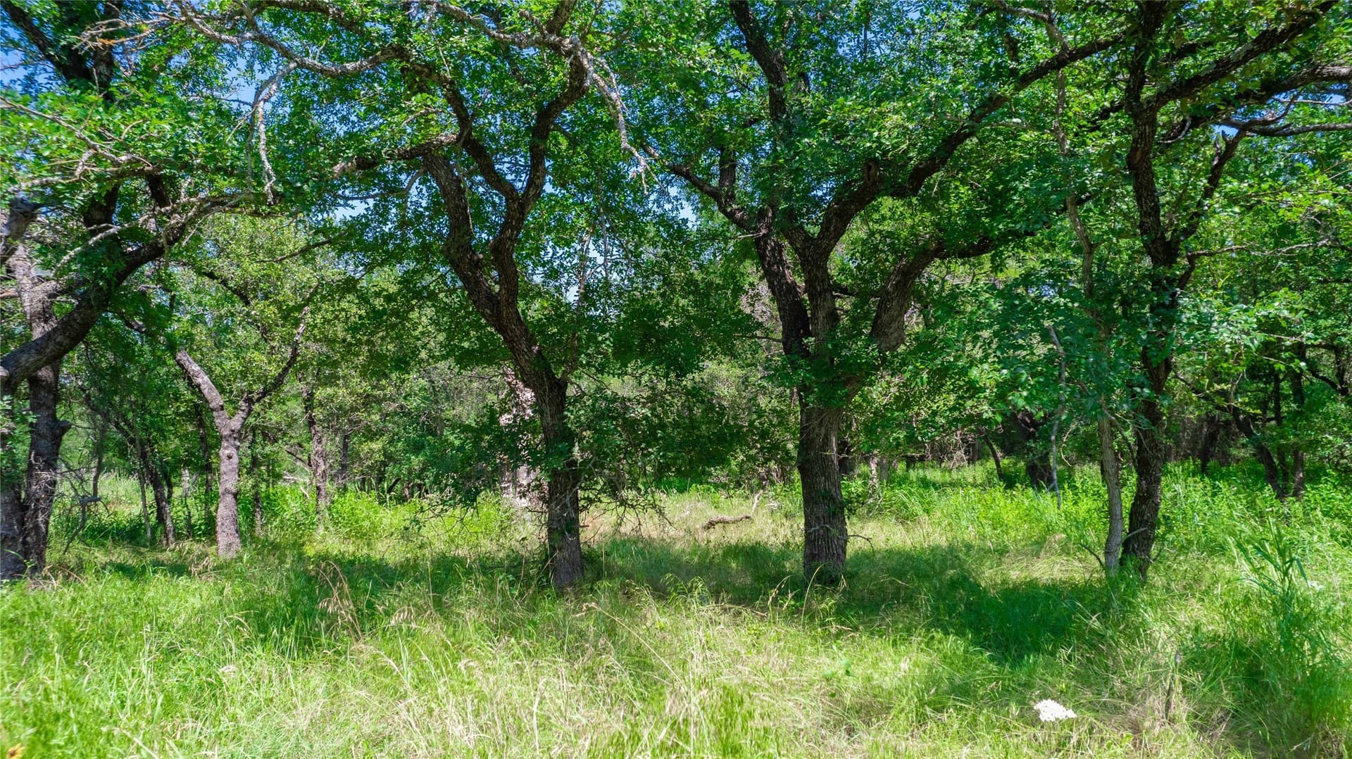 3.04 acres in Brown County - photo 16