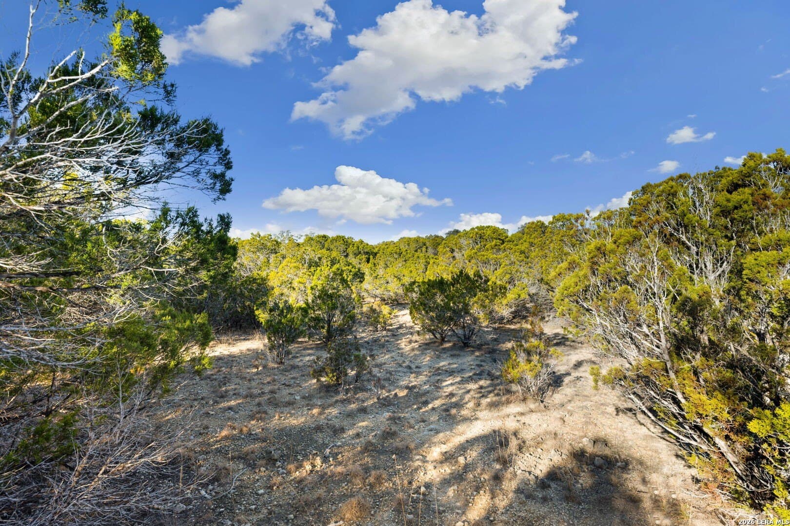 5.62 acres in Bandera County - photo 10