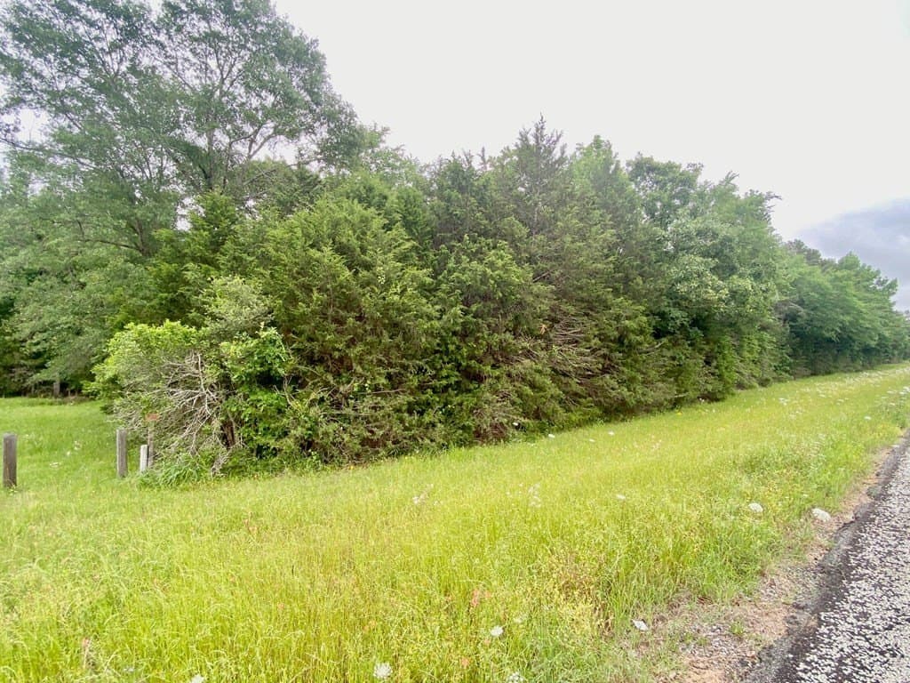 0.75 acres in Texas County - photo 8