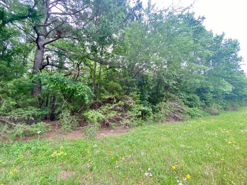 0.75 acres in Texas County gallery image 3