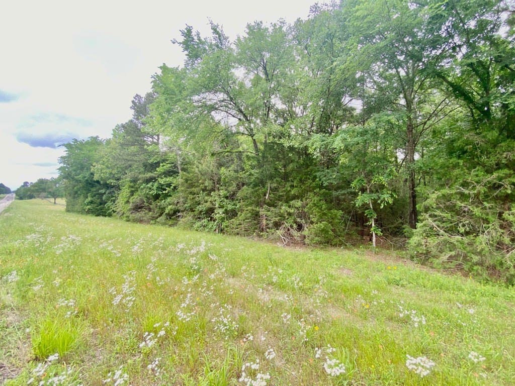 0.75 acres in Texas County gallery image 4