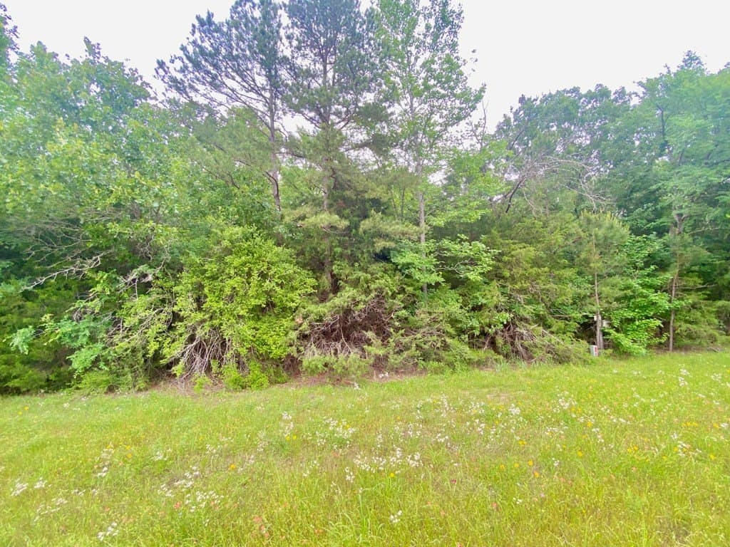 0.75 acres in Texas County - photo 6