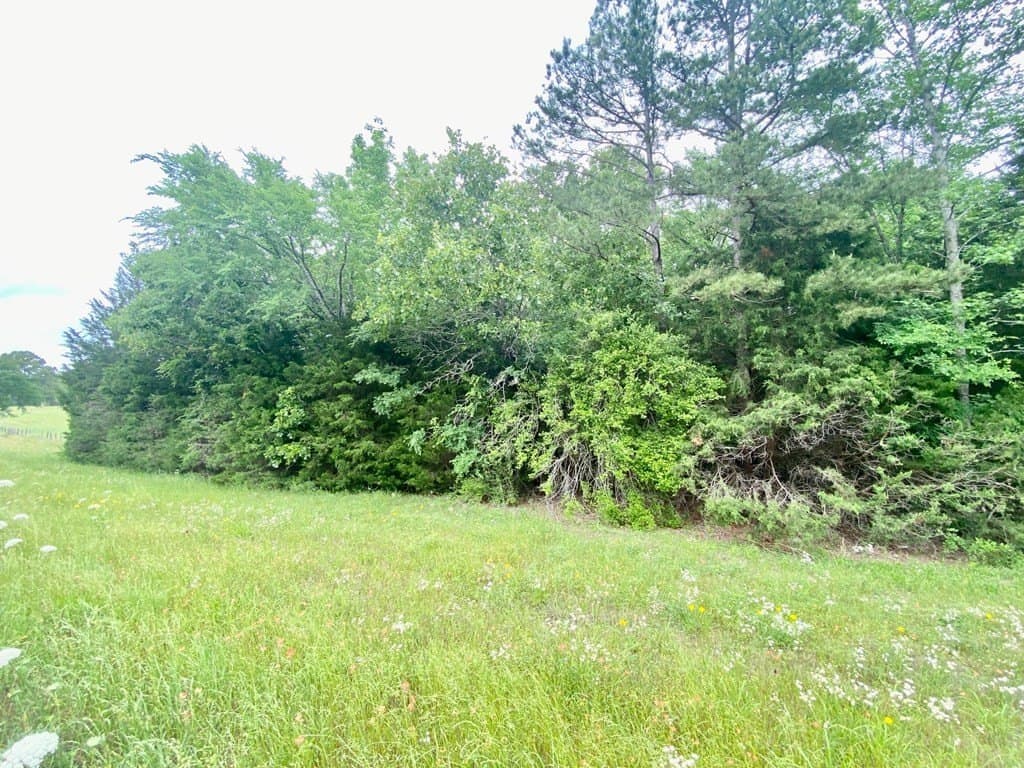 0.75 acres in Texas County featured view