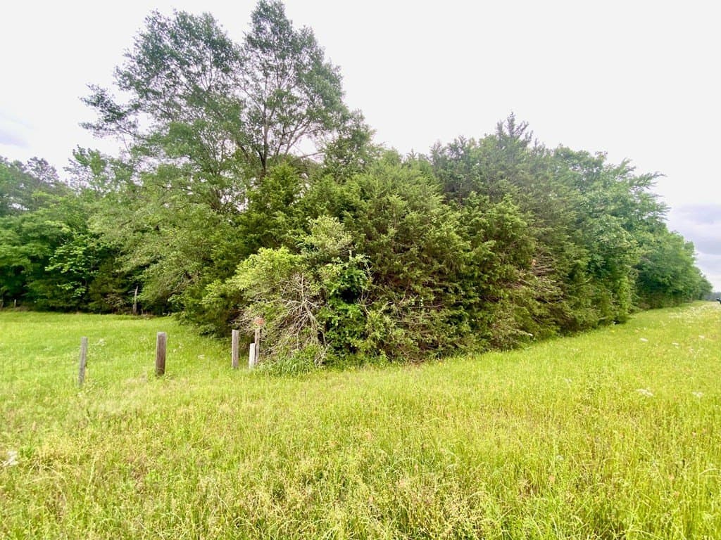 0.75 acres in Texas County - photo 7