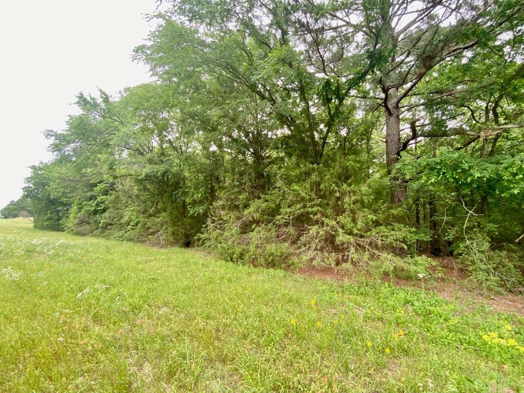0.75 acres in Texas County gallery image 2