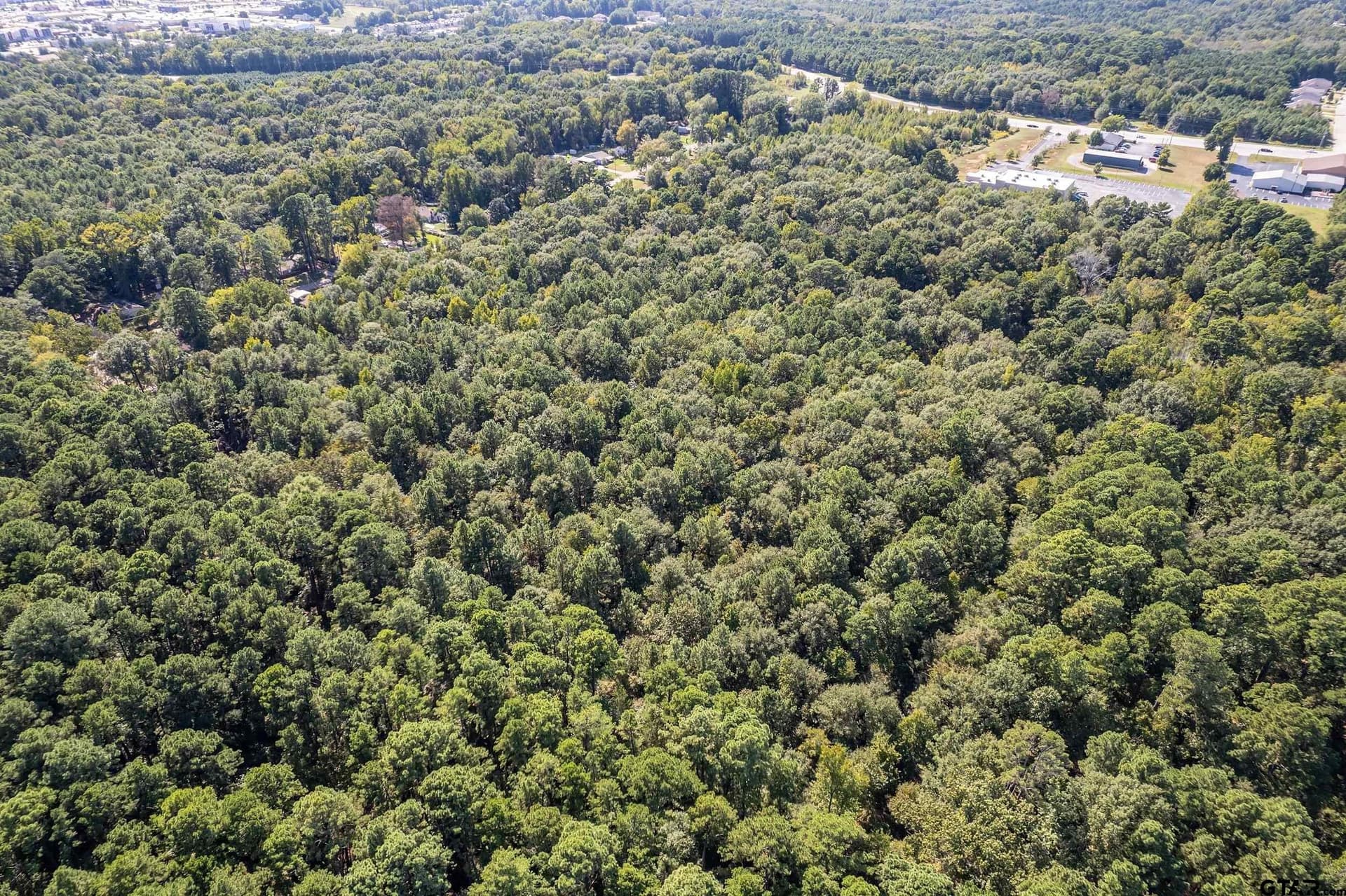 30 acres in Gregg County - photo 6