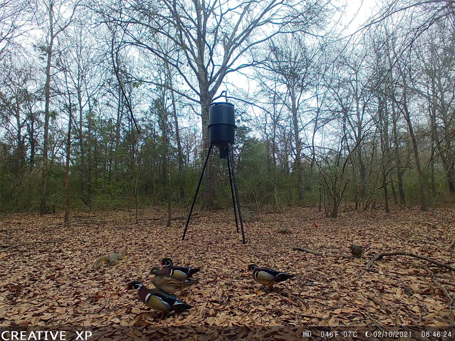 14.22 acres in Milam County - photo 11