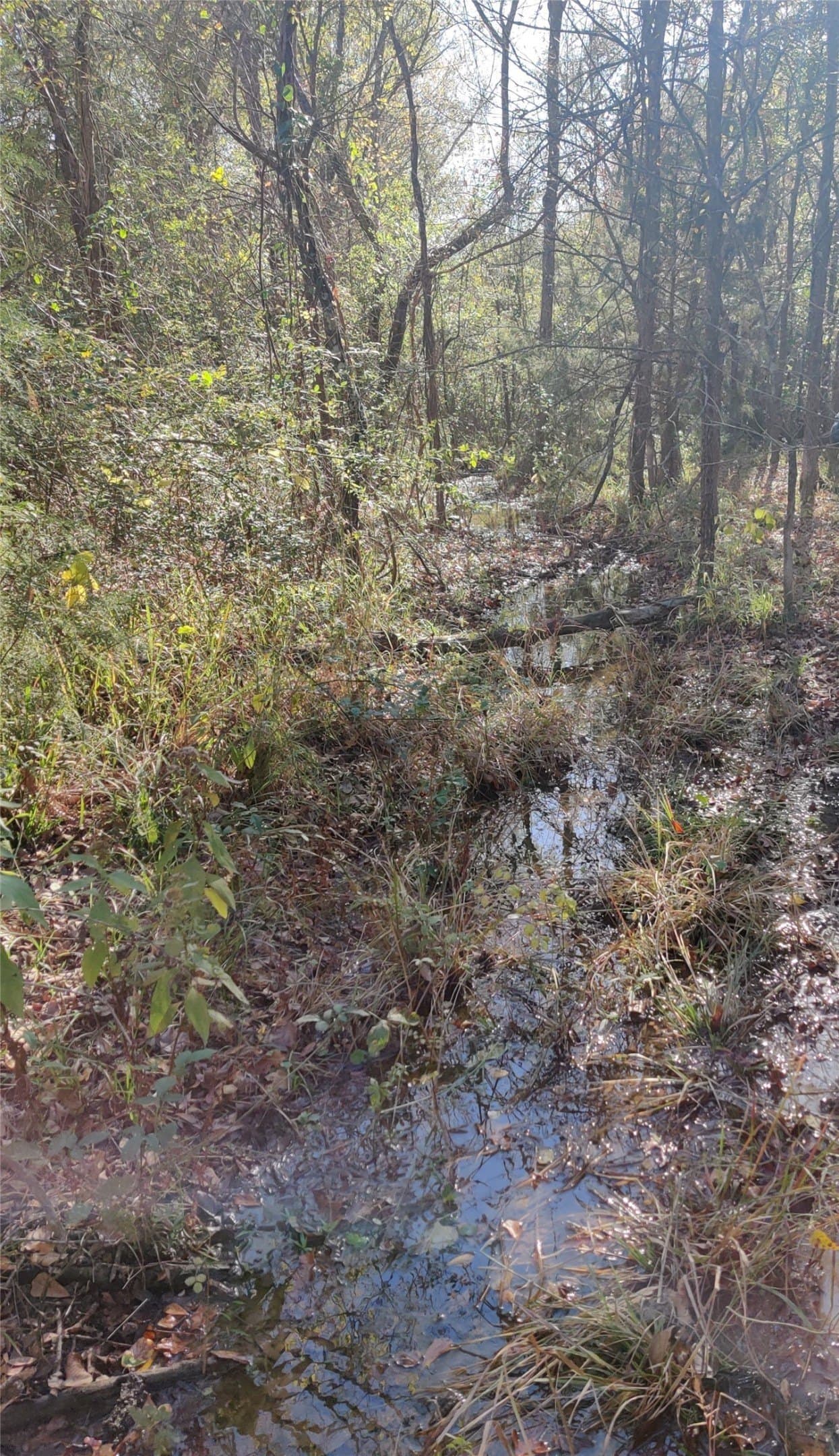 14.22 acres in Milam County - photo 14