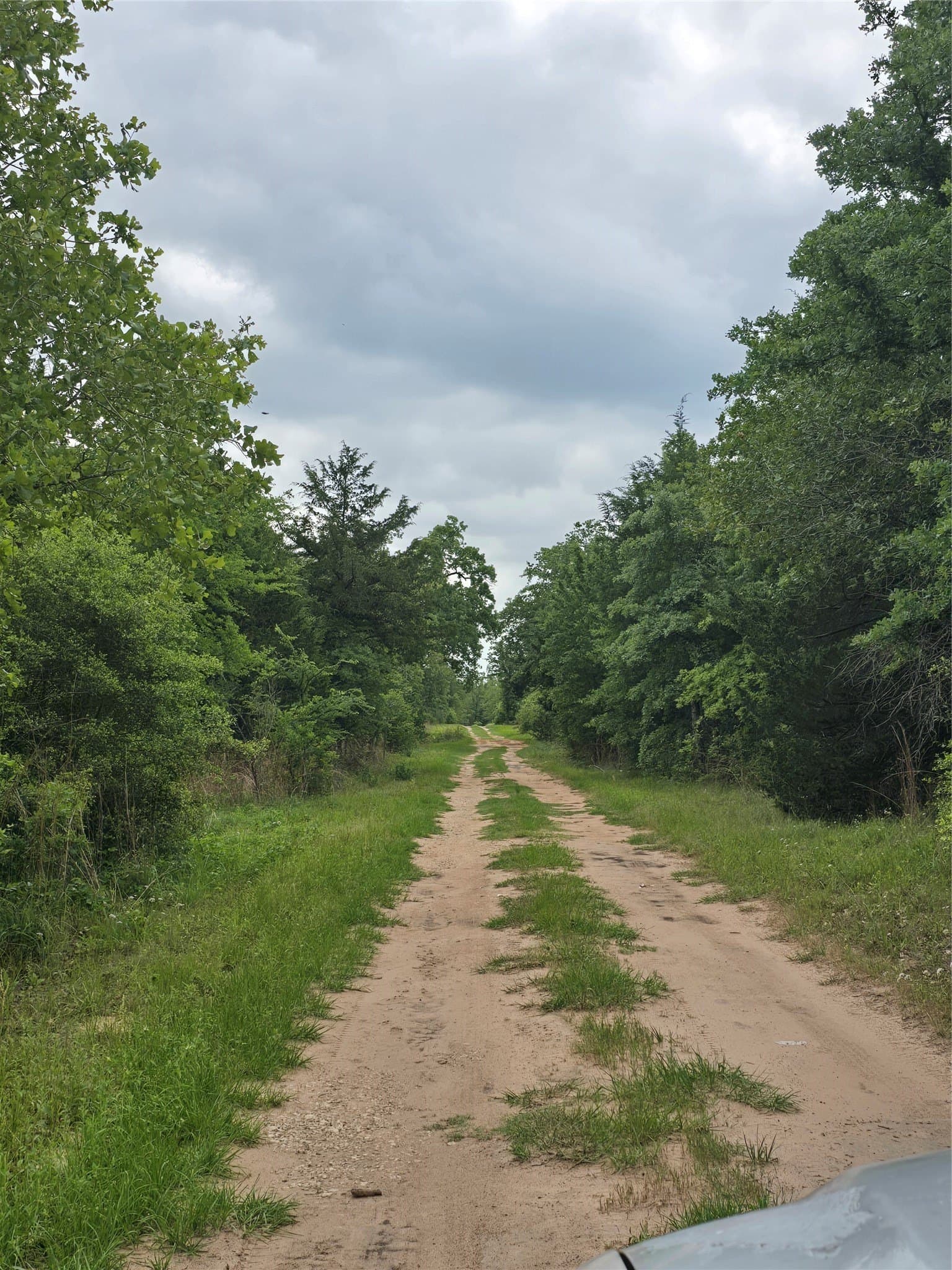 14.22 acres in Milam County gallery image 4