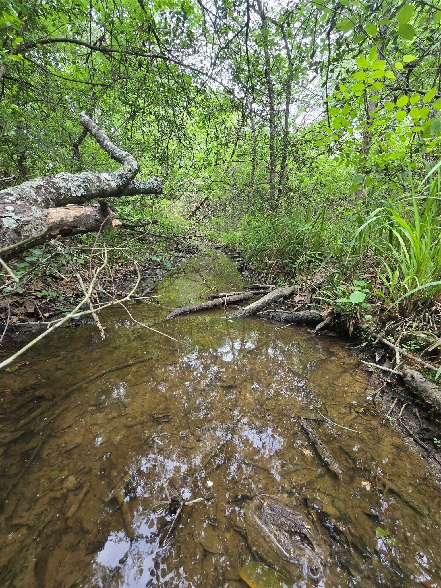 14.22 acres in Milam County - photo 19
