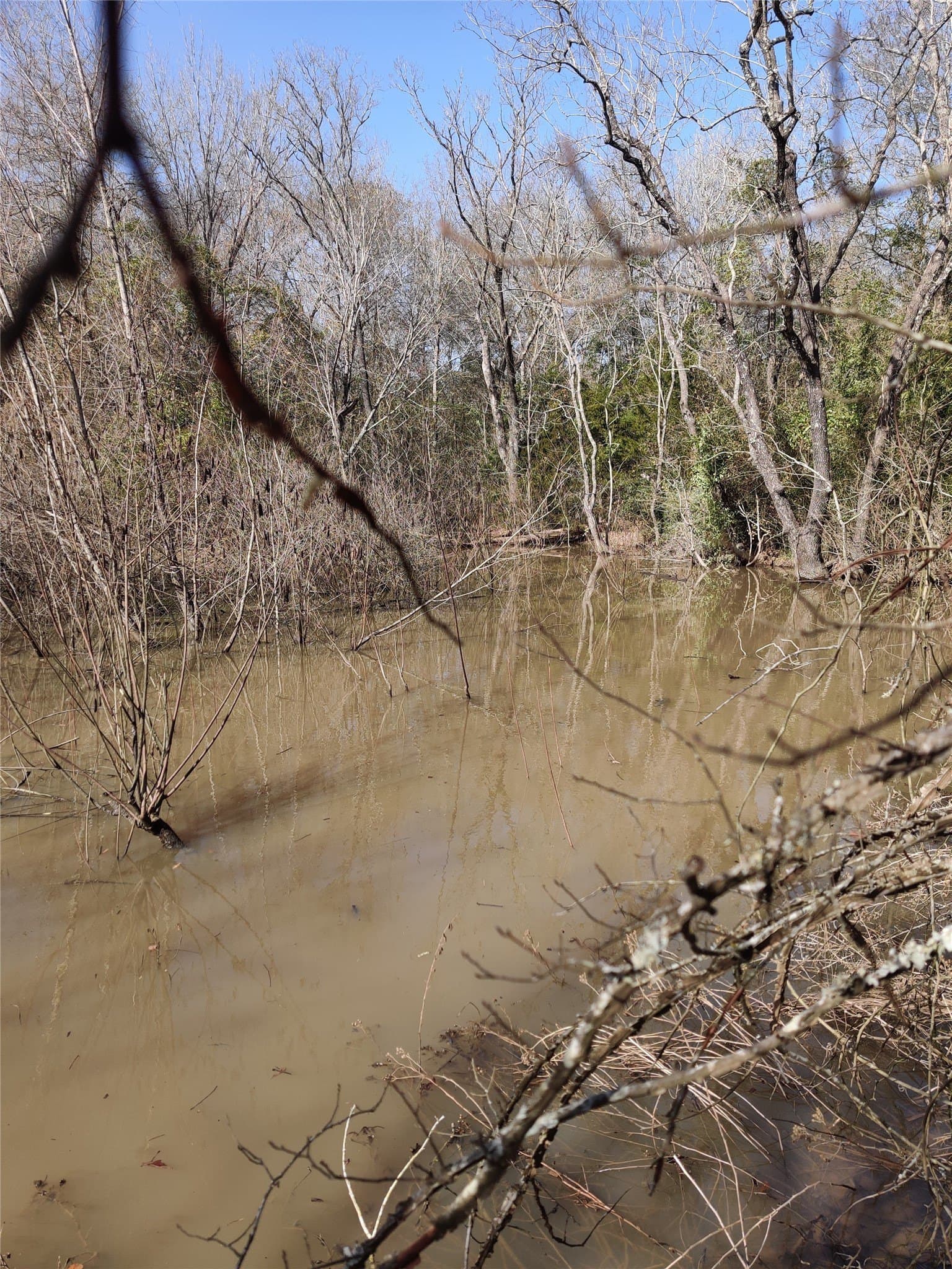 14.22 acres in Milam County - photo 16