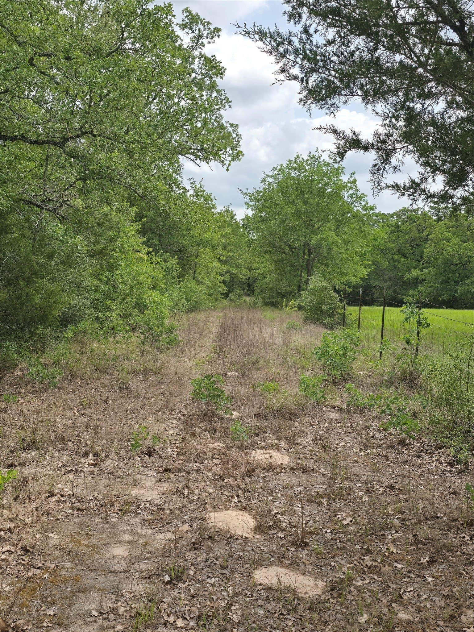 14.22 acres in Milam County - photo 21