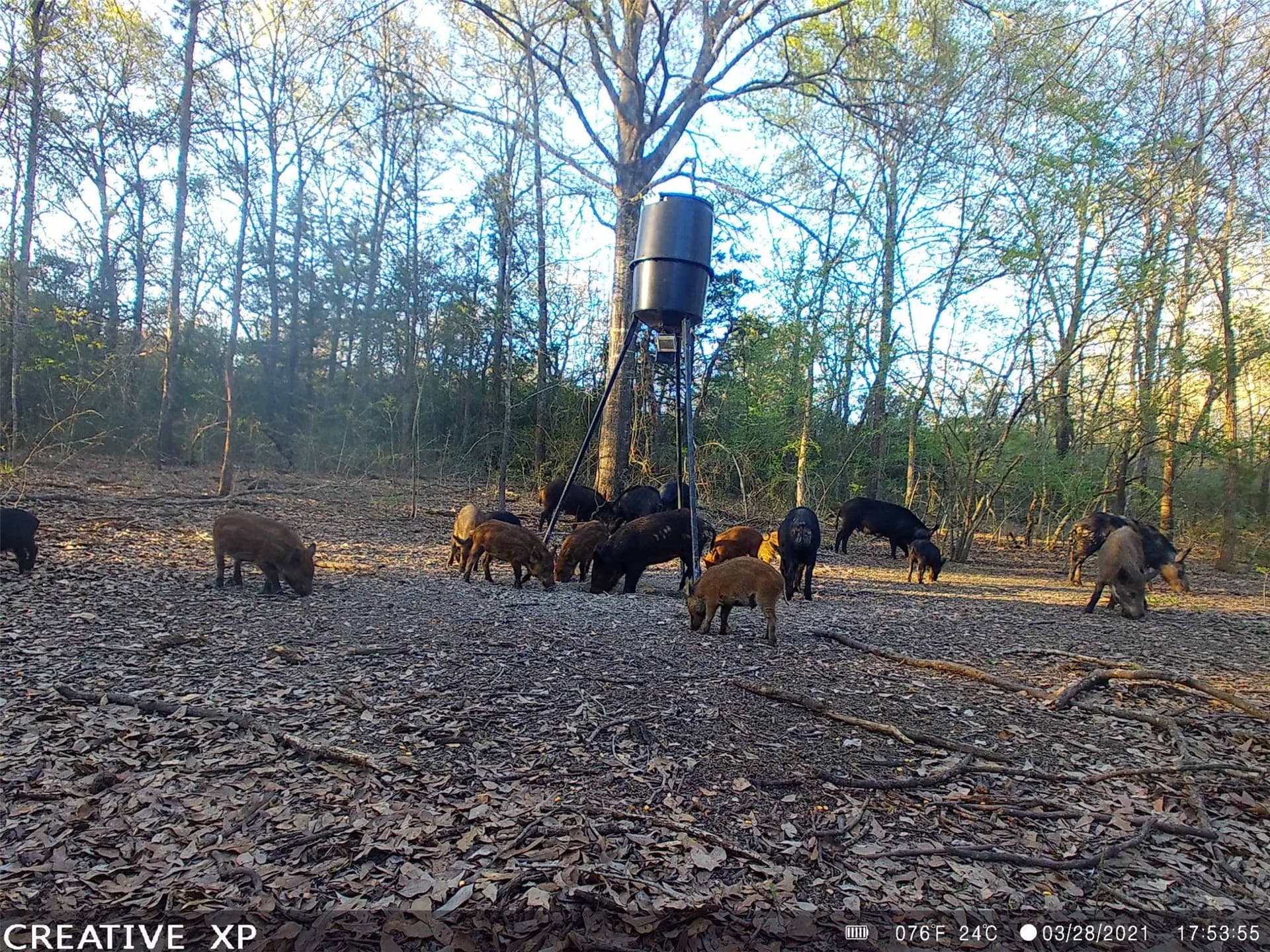 14.22 acres in Milam County - photo 7