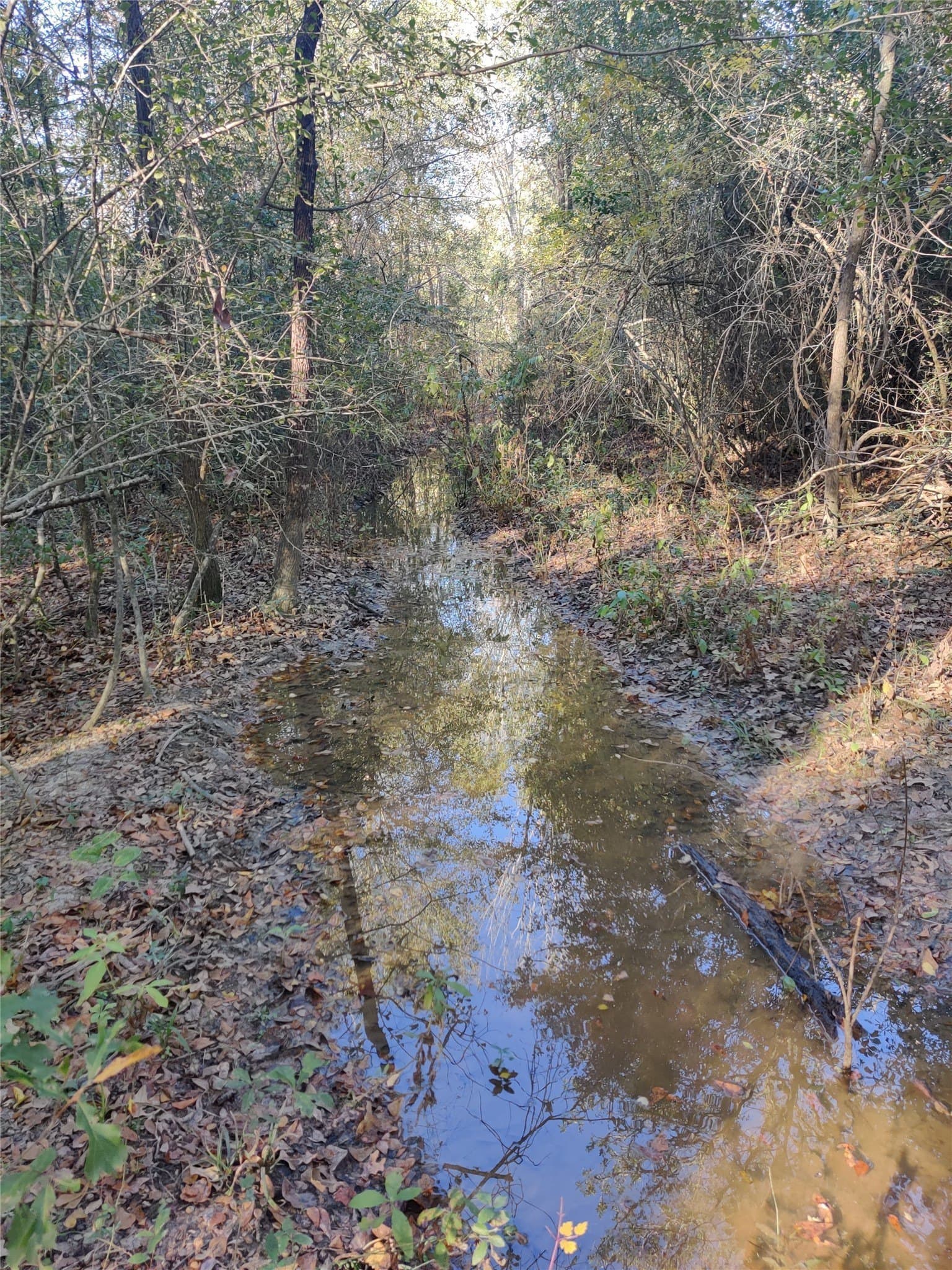14.22 acres in Milam County - photo 13