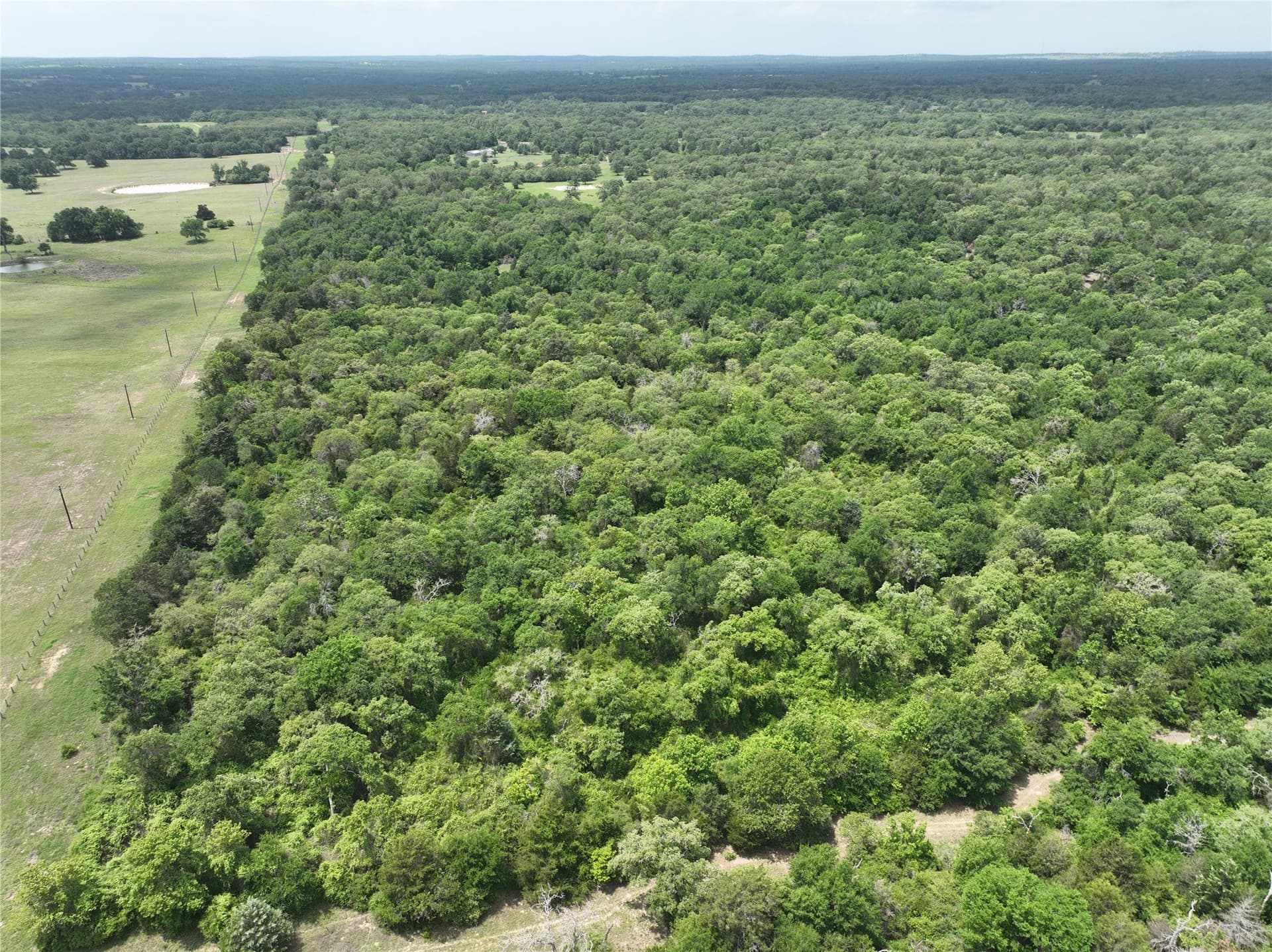 14.22 acres in Milam County gallery image 2