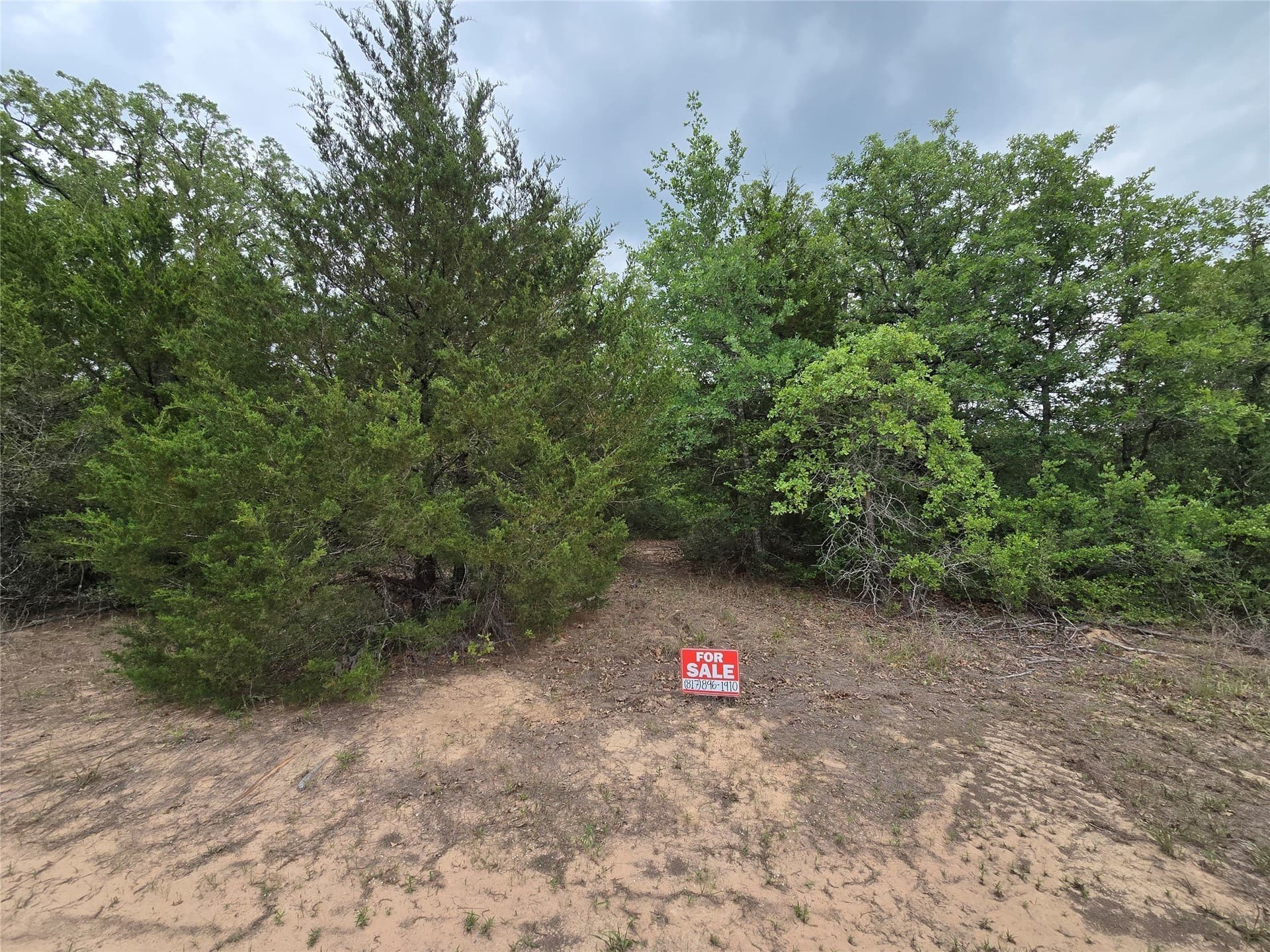 14.22 acres in Milam County - photo 22