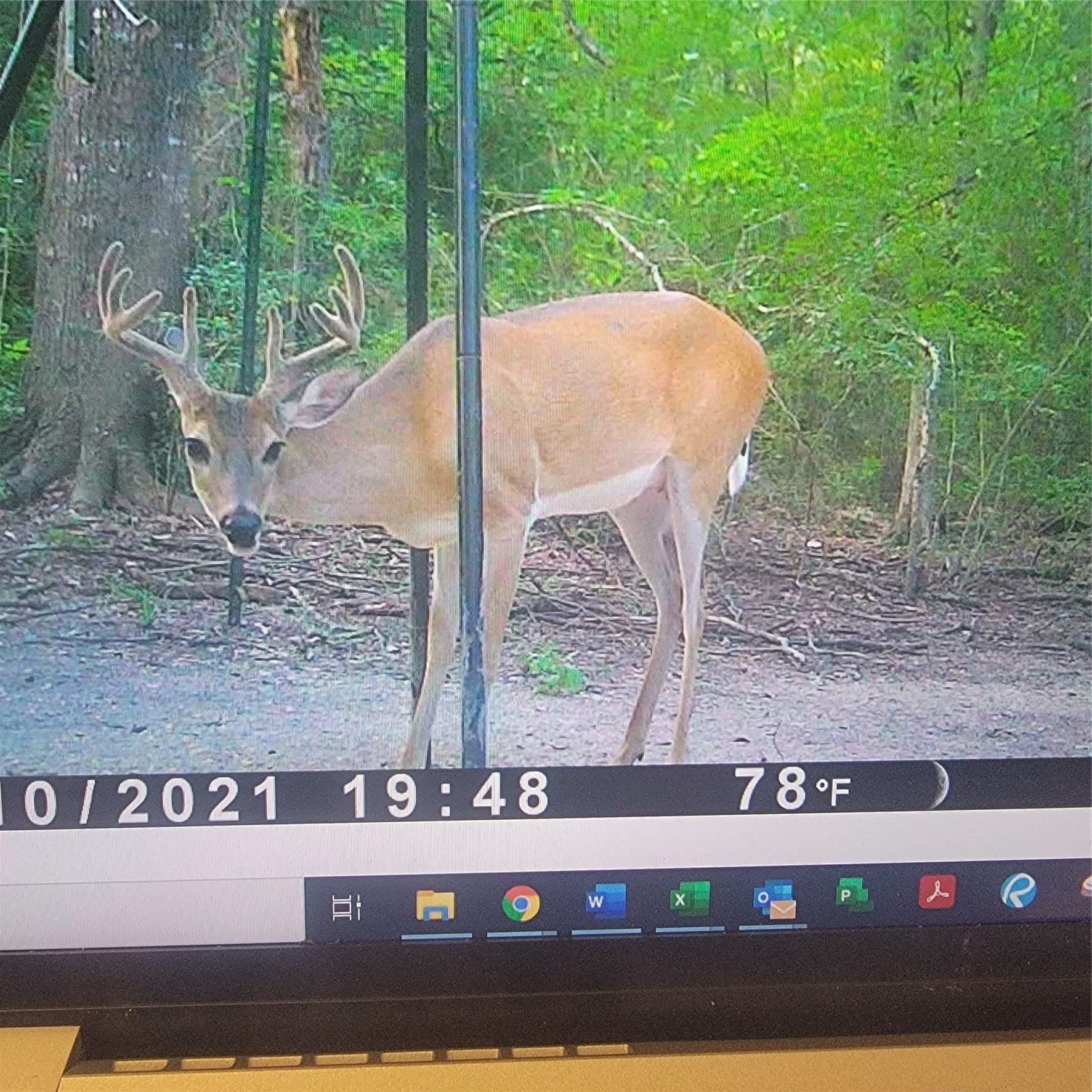 14.22 acres in Milam County - photo 6