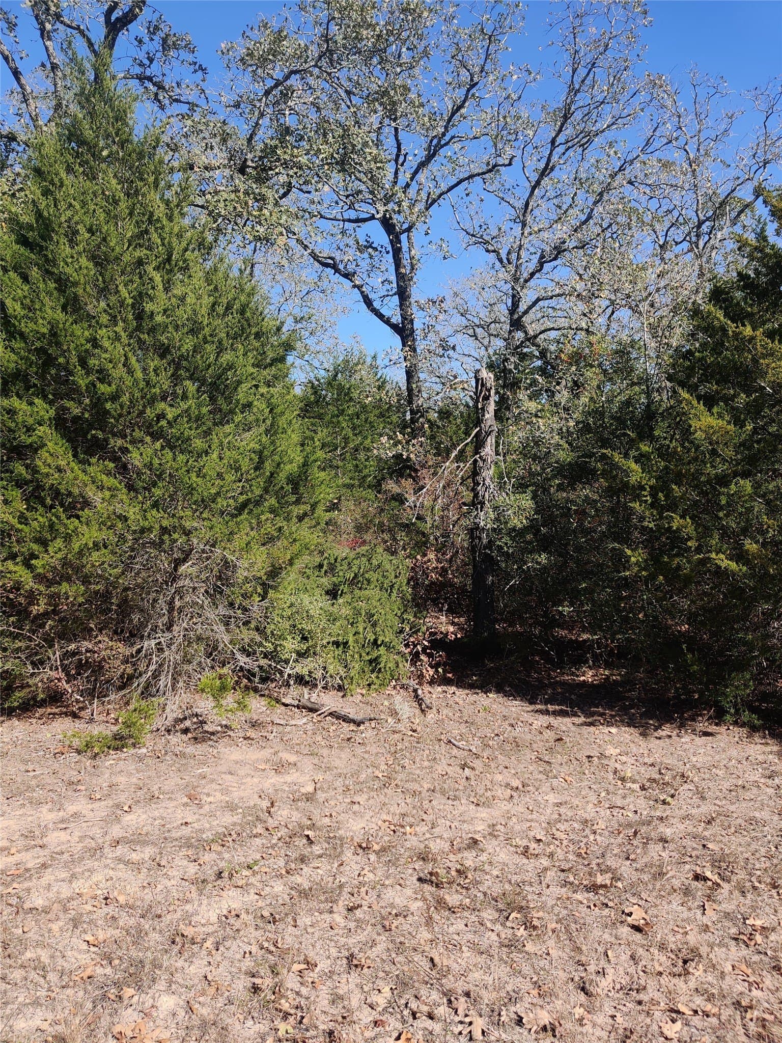 14.22 acres in Milam County - photo 15