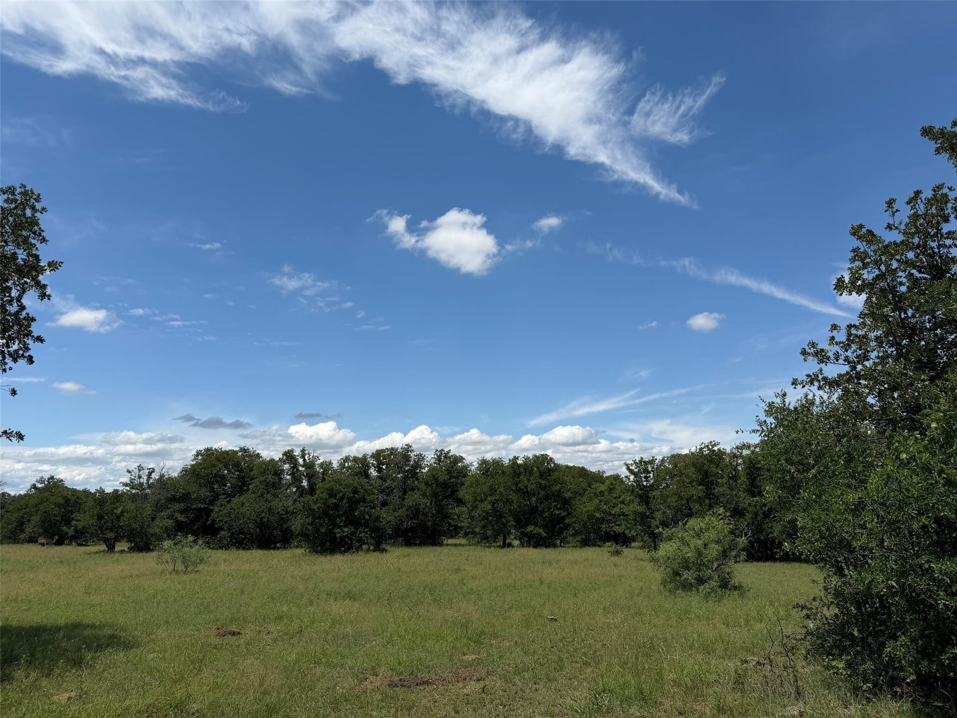 79.79 acres in Young County - photo 7