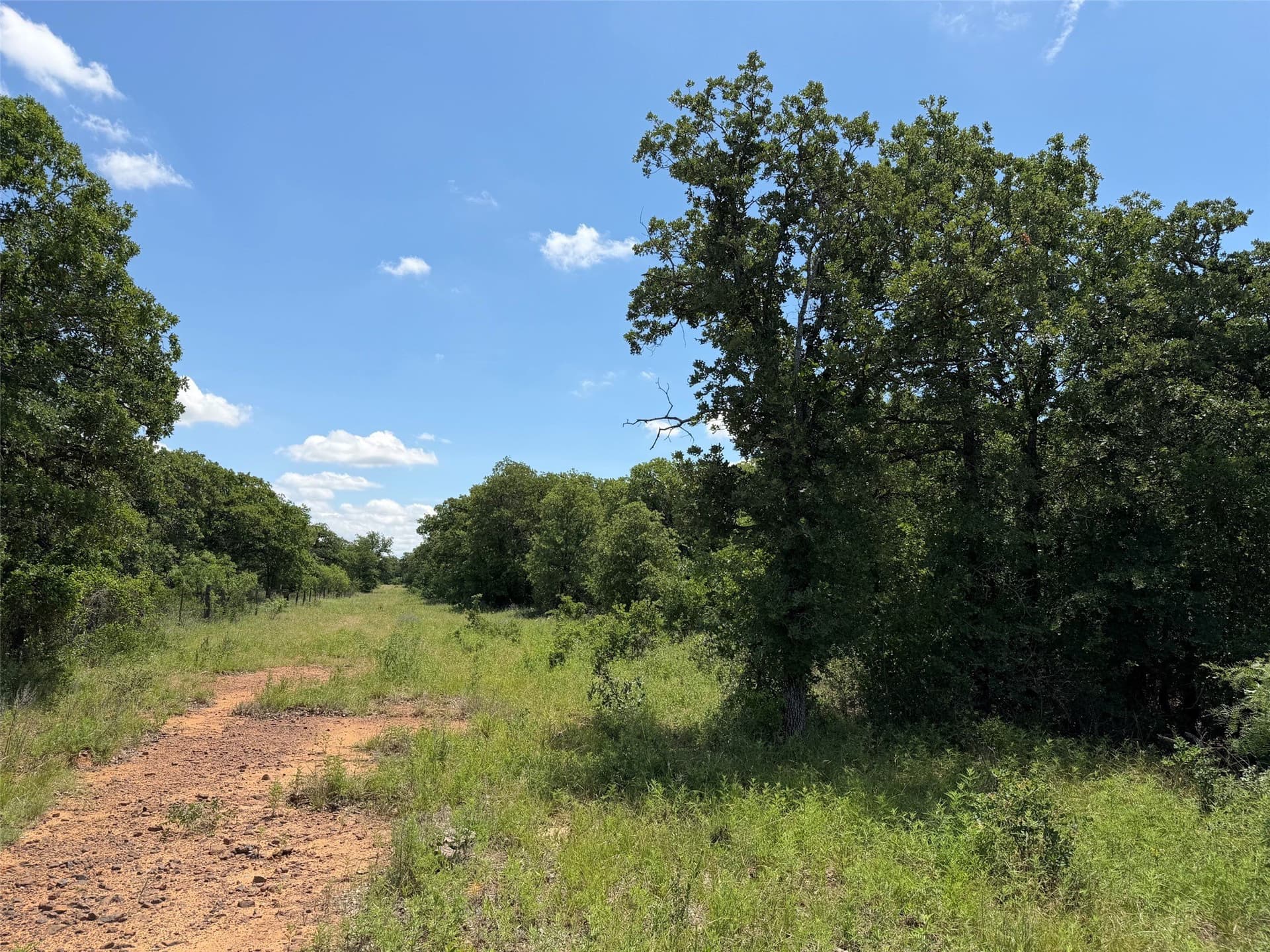 79.79 acres in Young County - photo 4