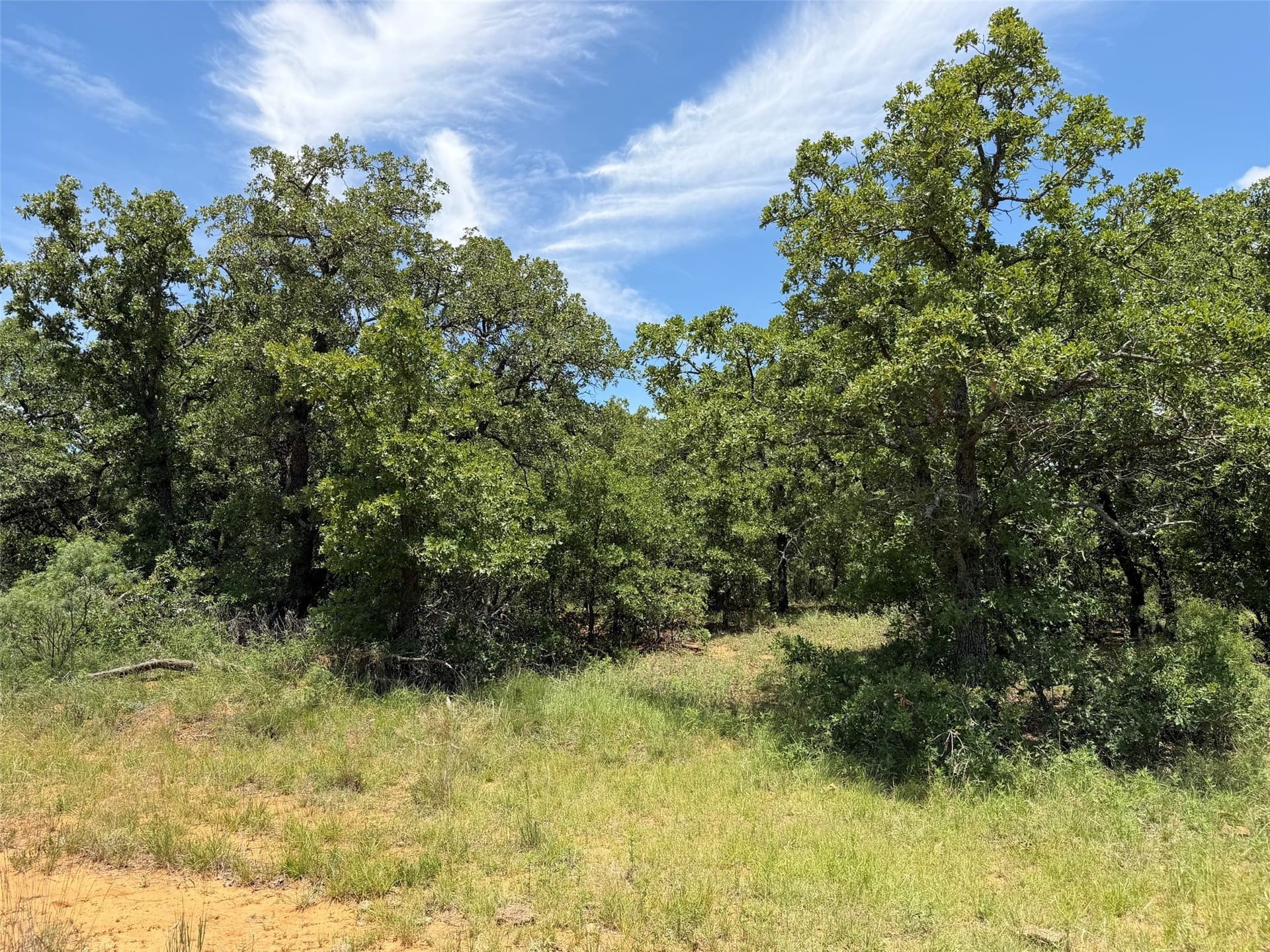 79.79 acres in Young County - photo 11