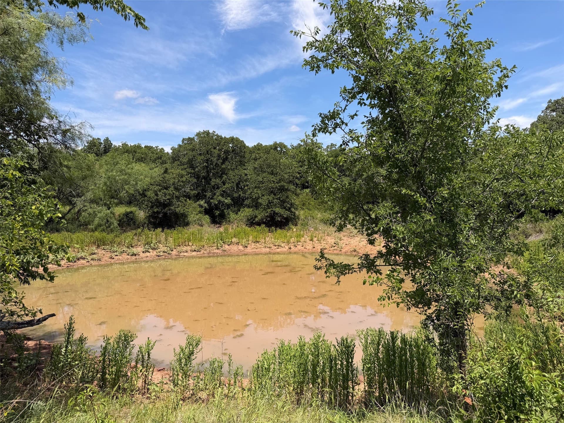 79.79 acres in Young County - photo 12