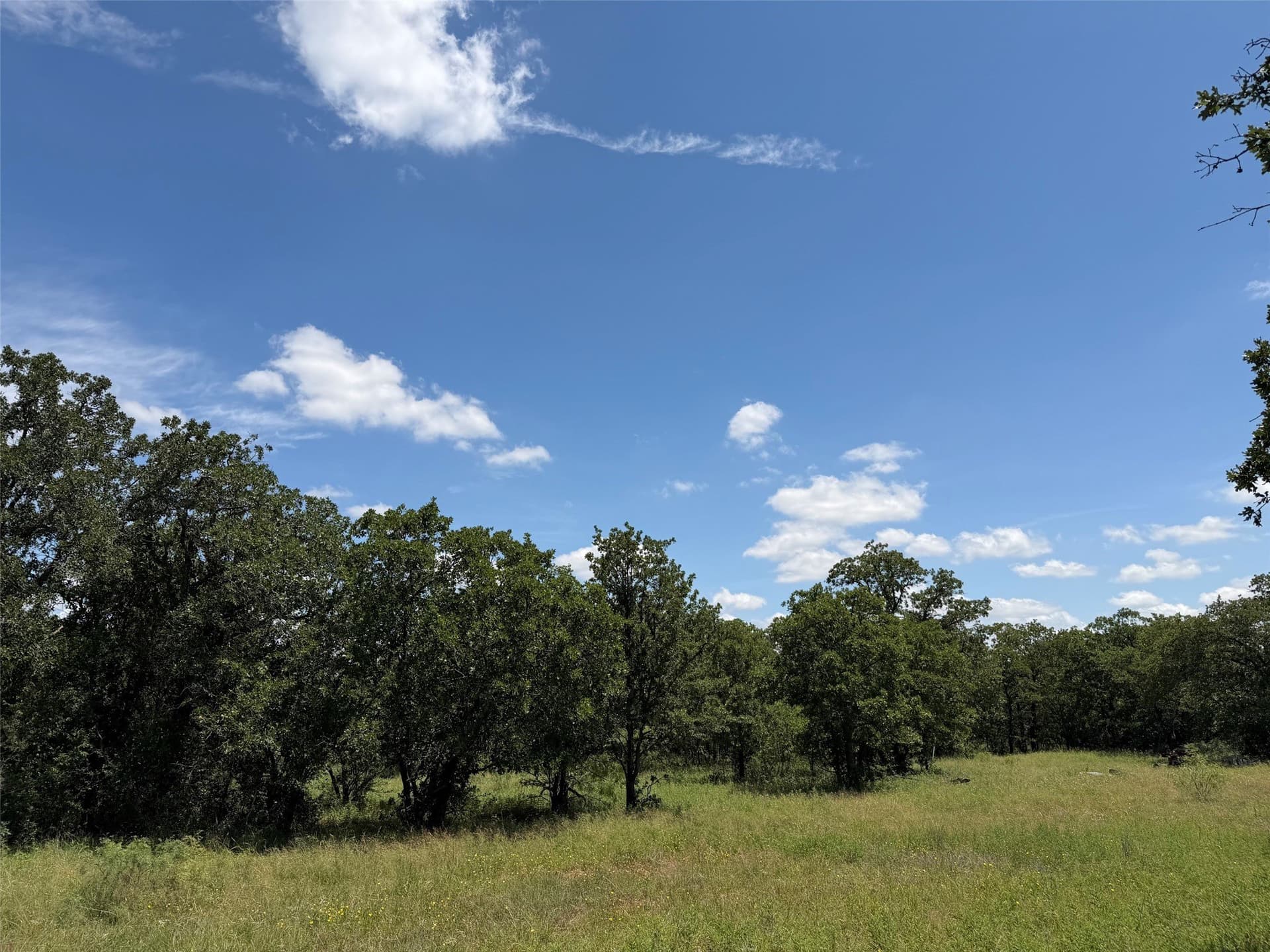 79.79 acres in Young County - photo 2